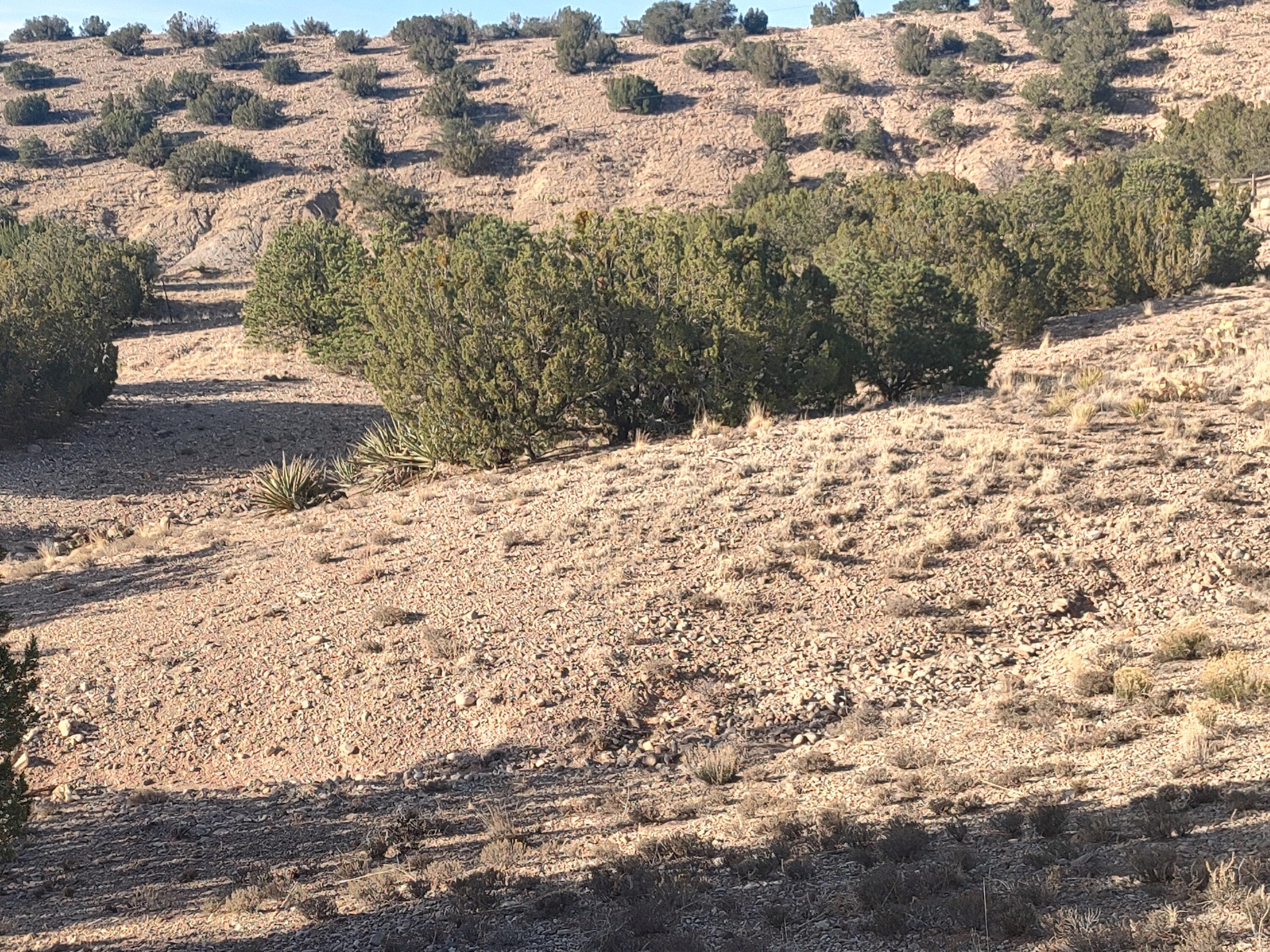 Camino De Las Huertas