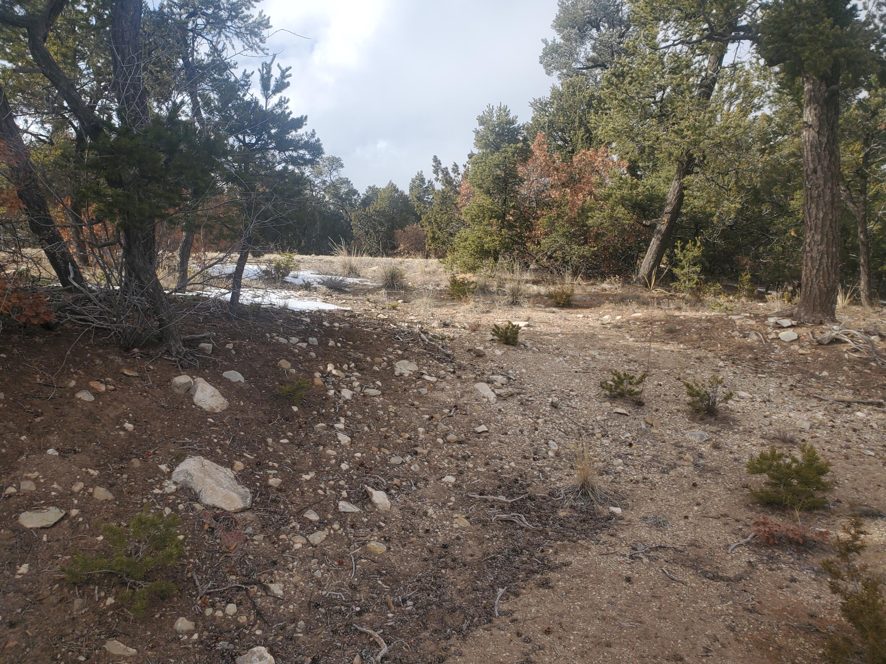 8 Teypana Drive, Tijeras, New Mexico image 2