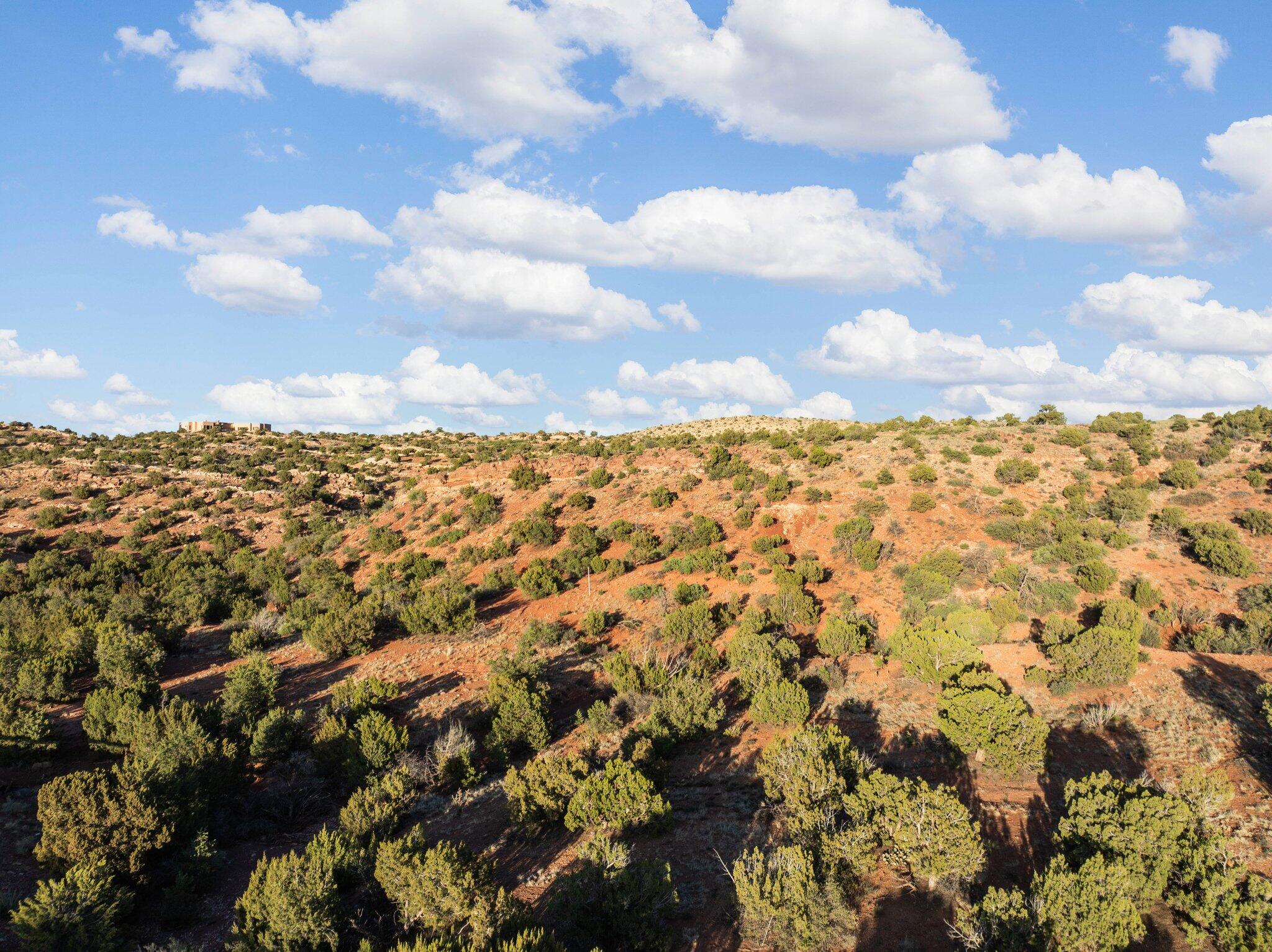 216 Purple Aster Road, Placitas, New Mexico image 10