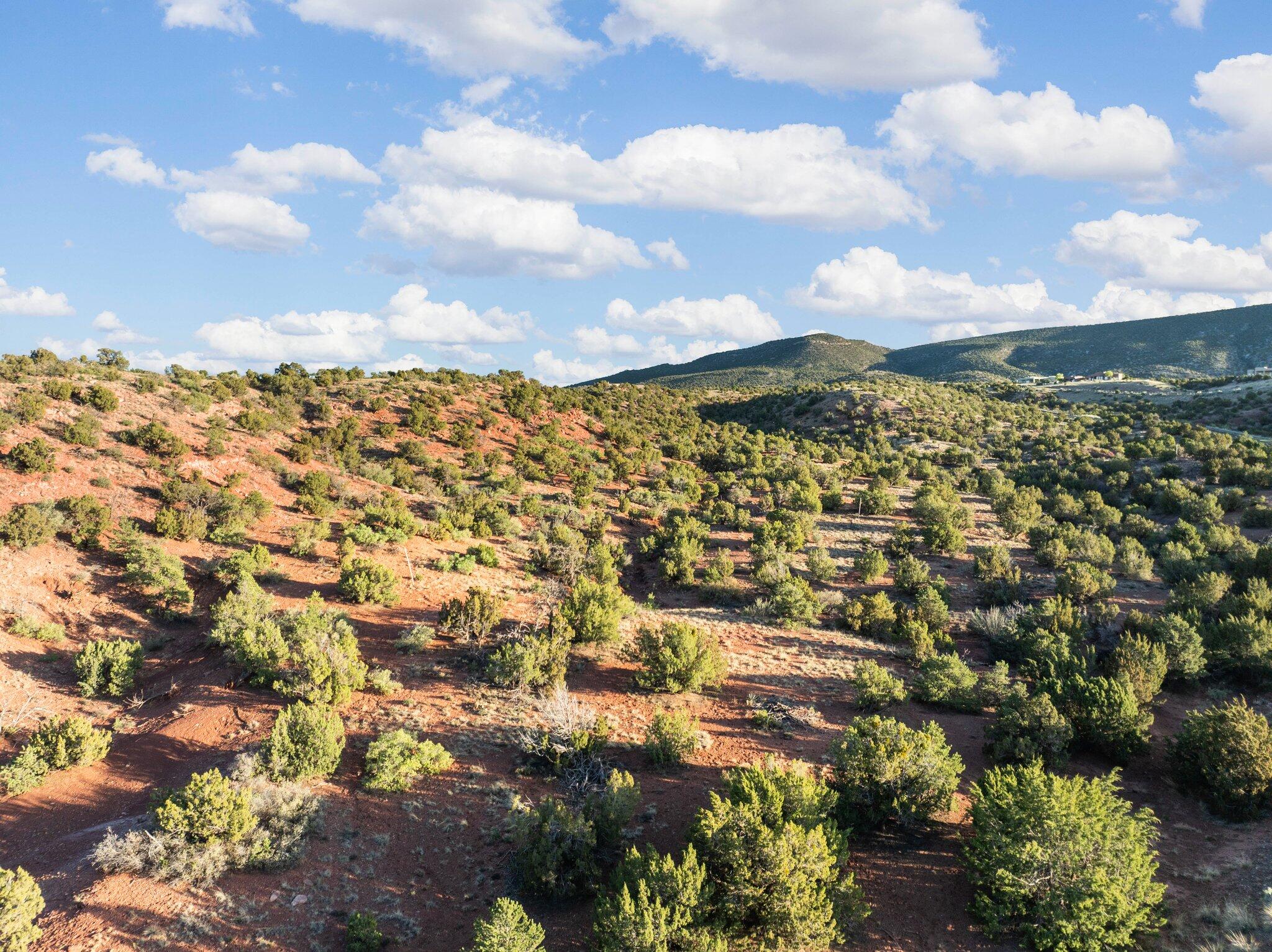 216 Purple Aster Road, Placitas, New Mexico image 12