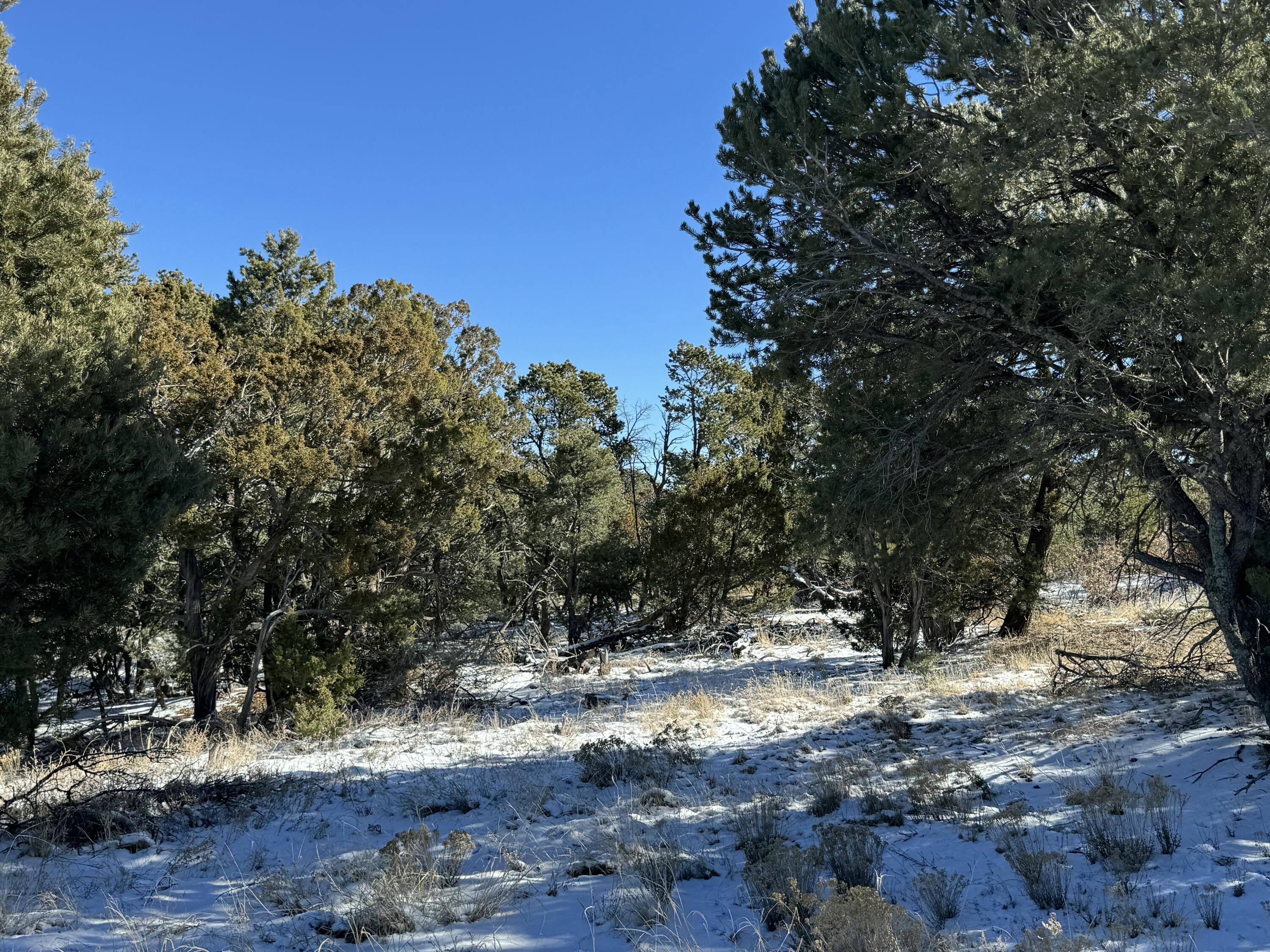 Lot 2 Bolivar Loop Loop, Tijeras, New Mexico image 5