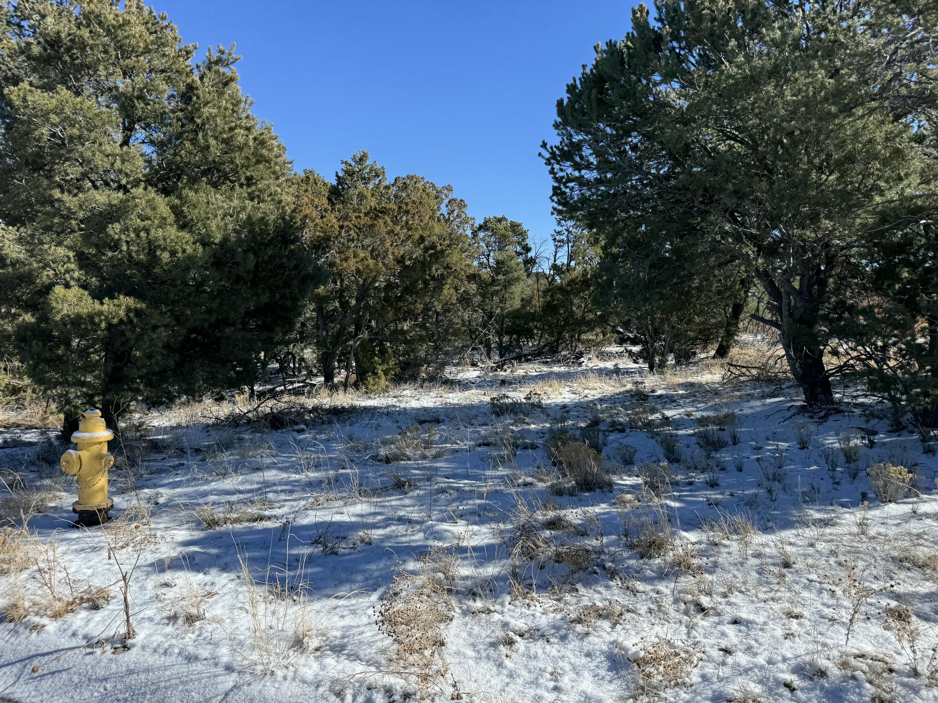 Lot 2 Bolivar Loop Loop, Tijeras, New Mexico image 9