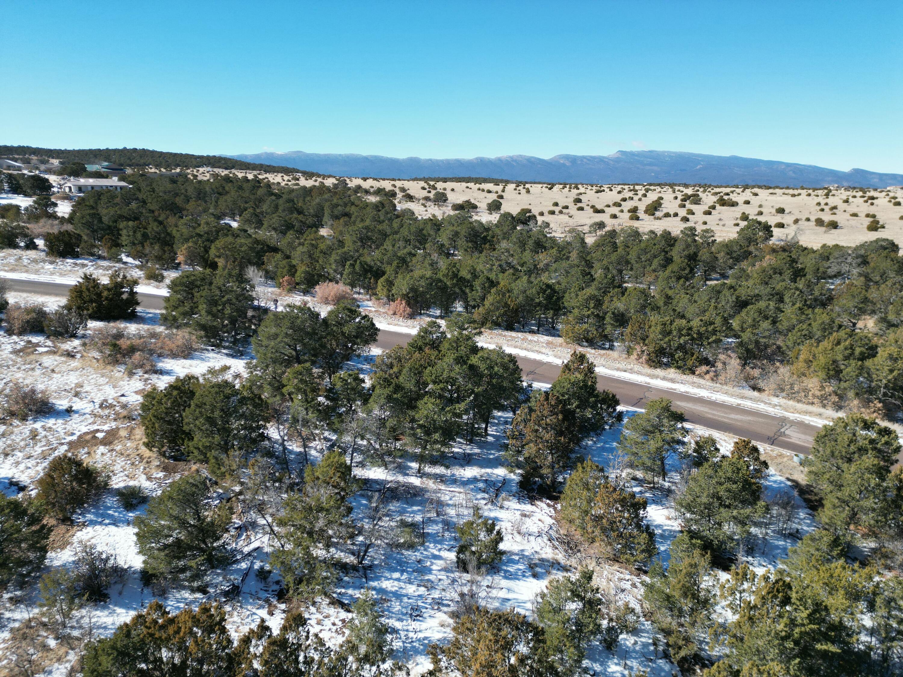 Lot 2 Bolivar Loop Loop, Tijeras, New Mexico image 6