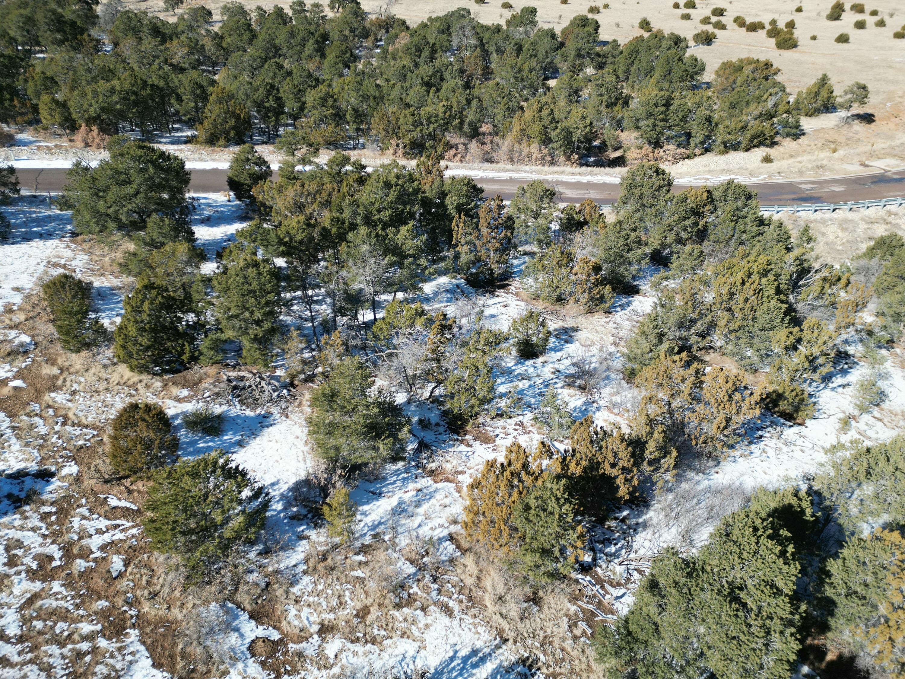 Lot 2 Bolivar Loop Loop, Tijeras, New Mexico image 11