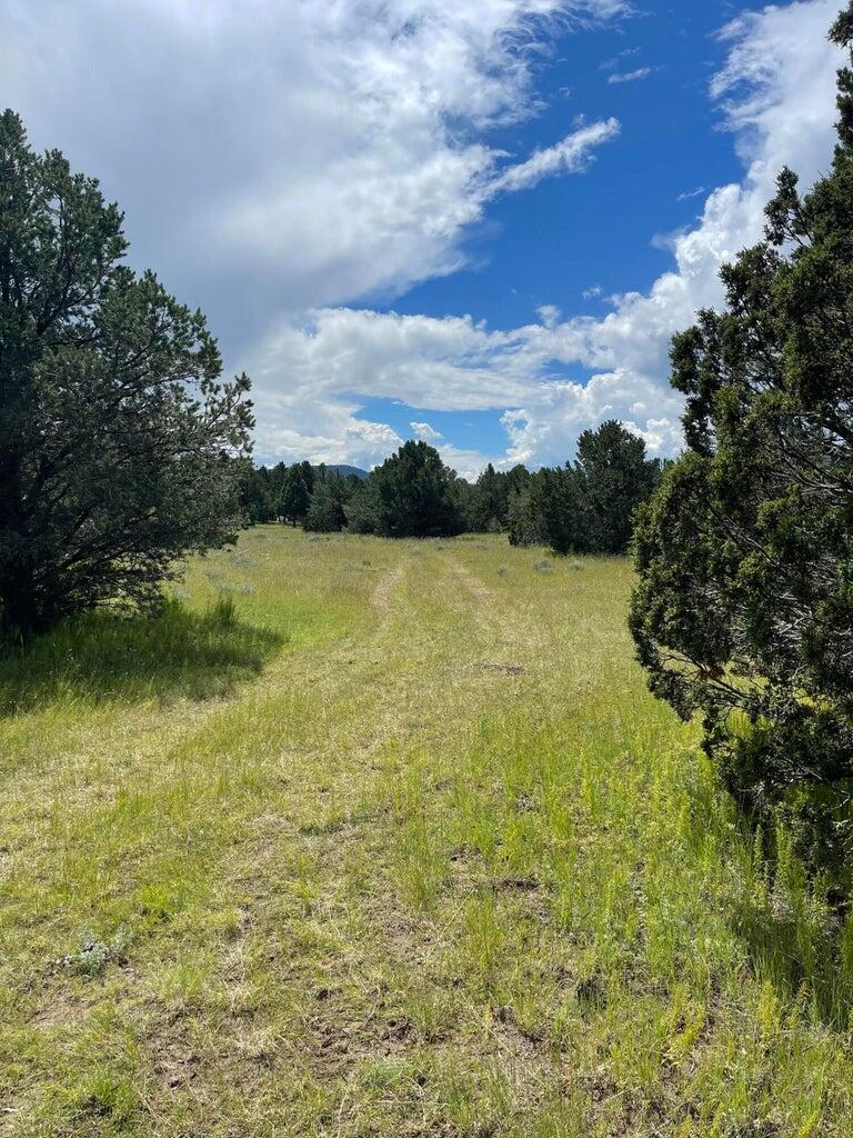 7 Gila Drive, Quemado, New Mexico image 13