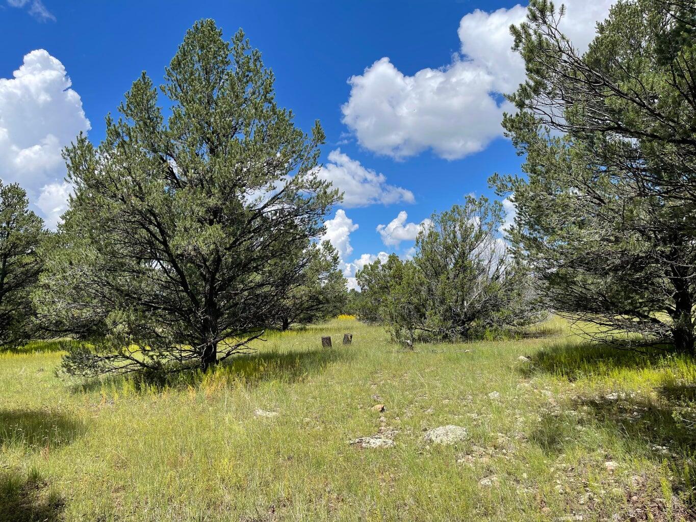 7 Gila Drive, Quemado, New Mexico image 9