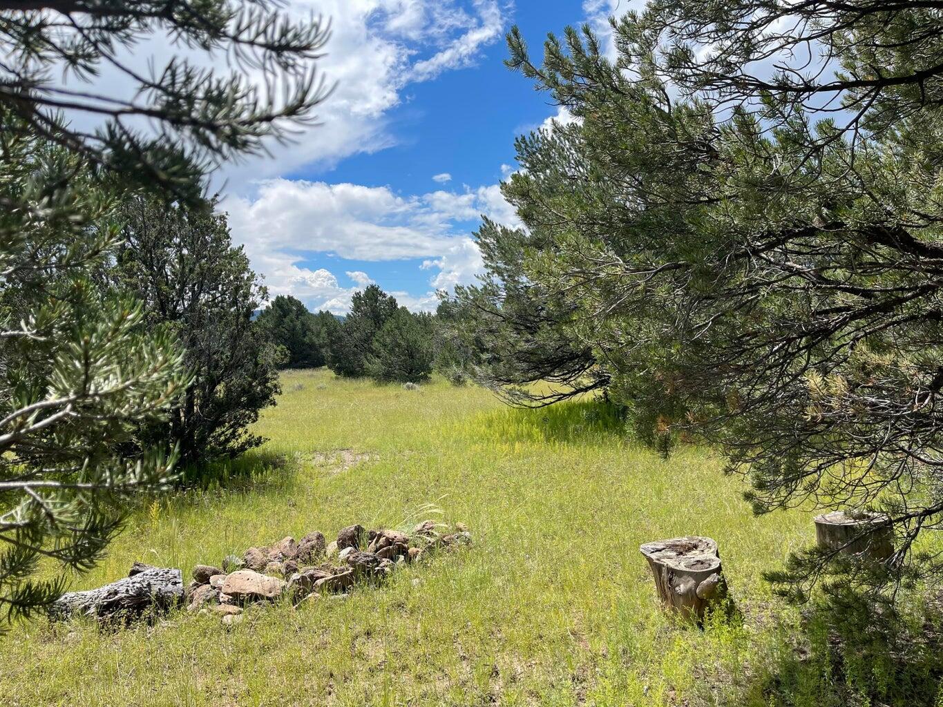 7 Gila Drive, Quemado, New Mexico image 1