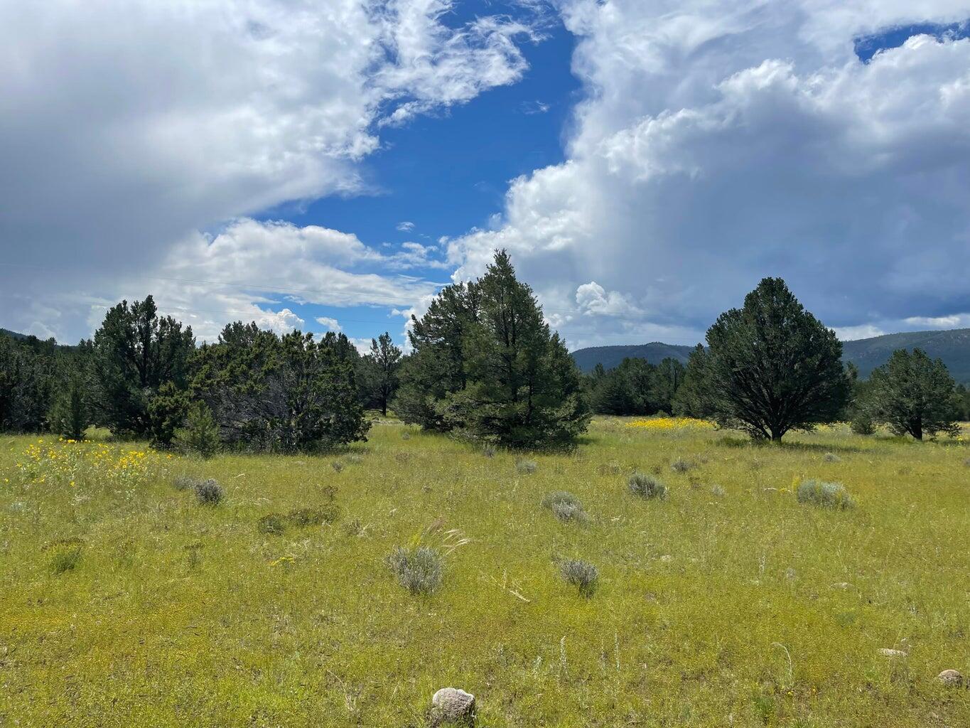 7 Gila Drive, Quemado, New Mexico image 8