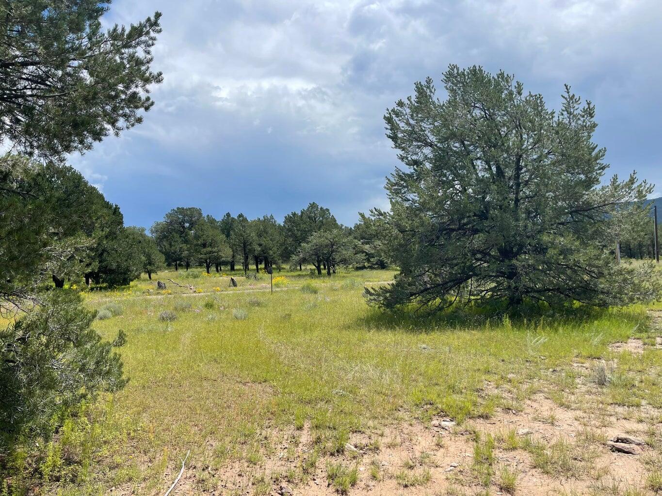 7 Gila Drive, Quemado, New Mexico image 6