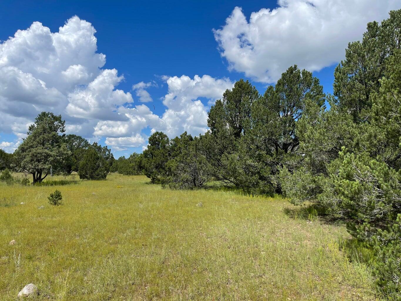 7 Gila Drive, Quemado, New Mexico image 3