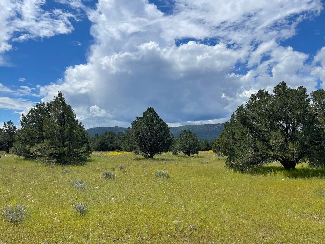 7 Gila Drive, Quemado, New Mexico image 5