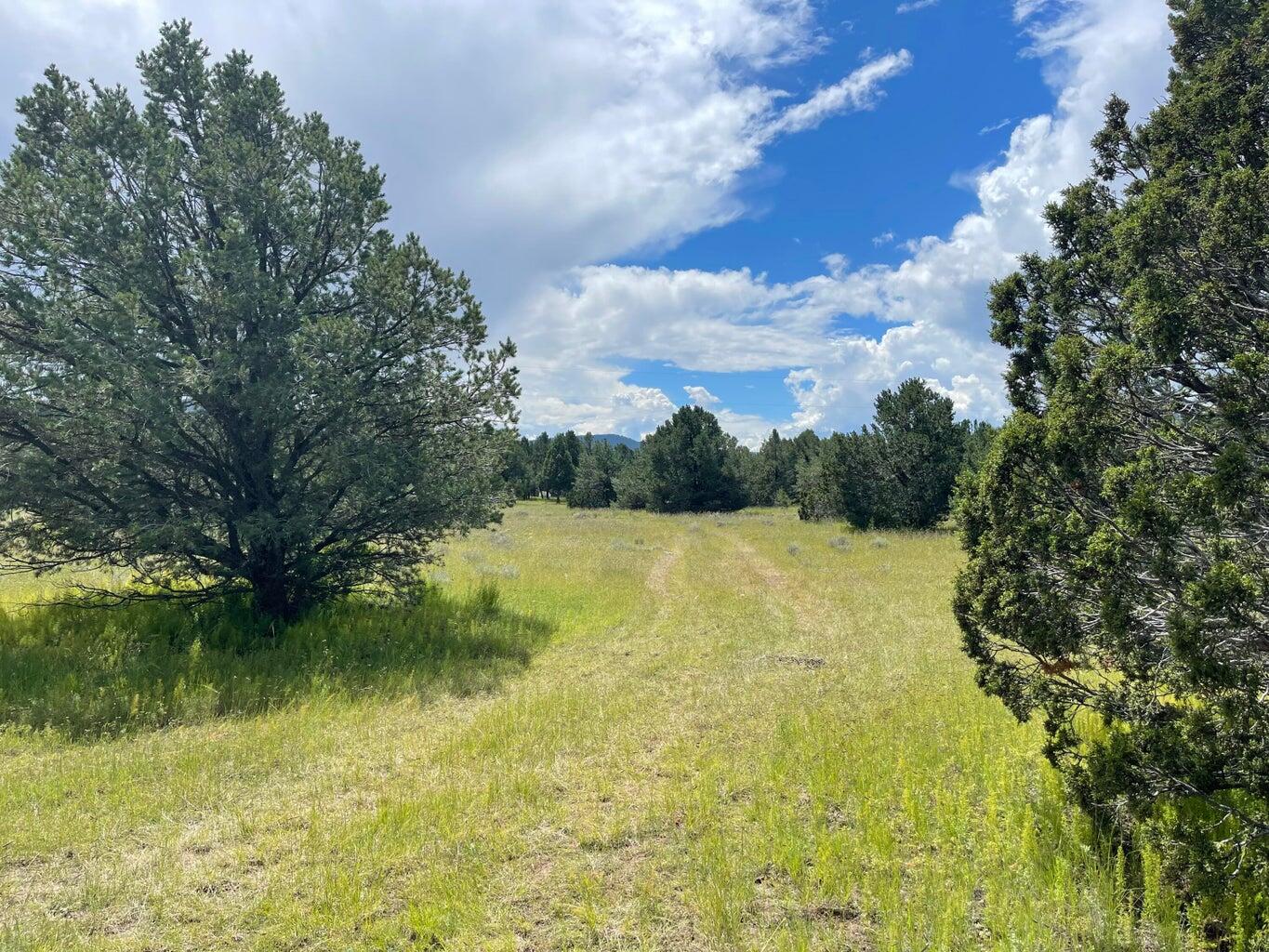 7 Gila Drive, Quemado, New Mexico image 12