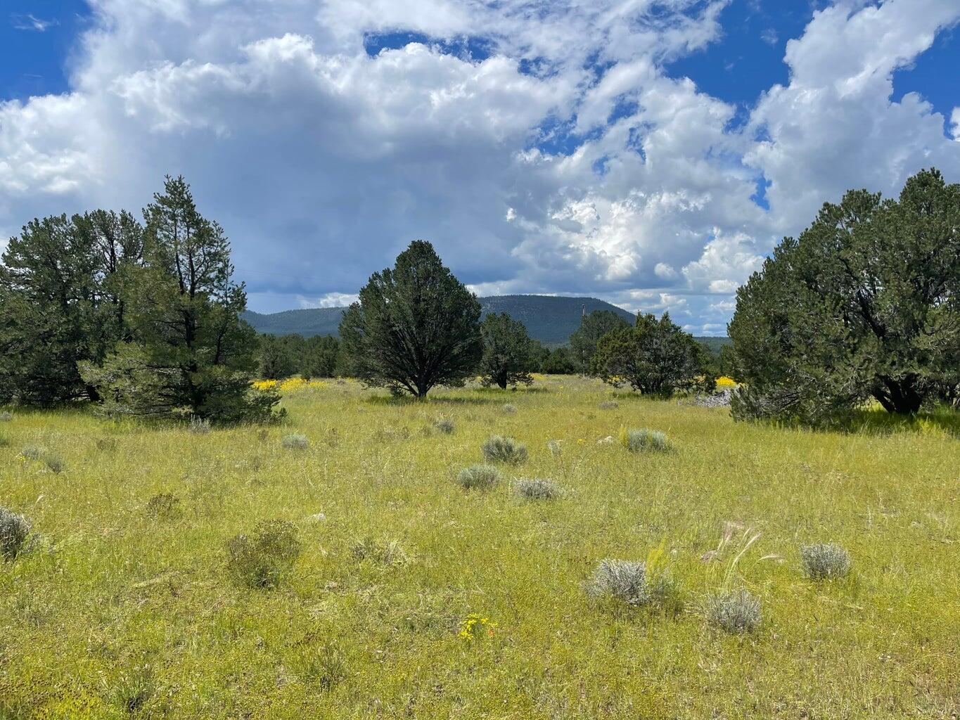 7 Gila Drive, Quemado, New Mexico image 4