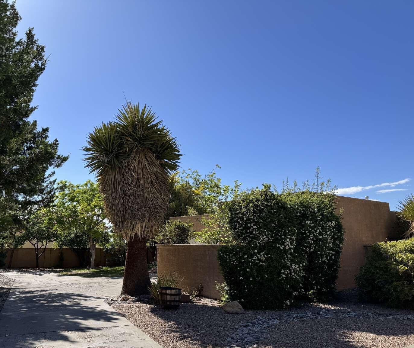 5733 Peppertree Place, Albuquerque, New Mexico image 1