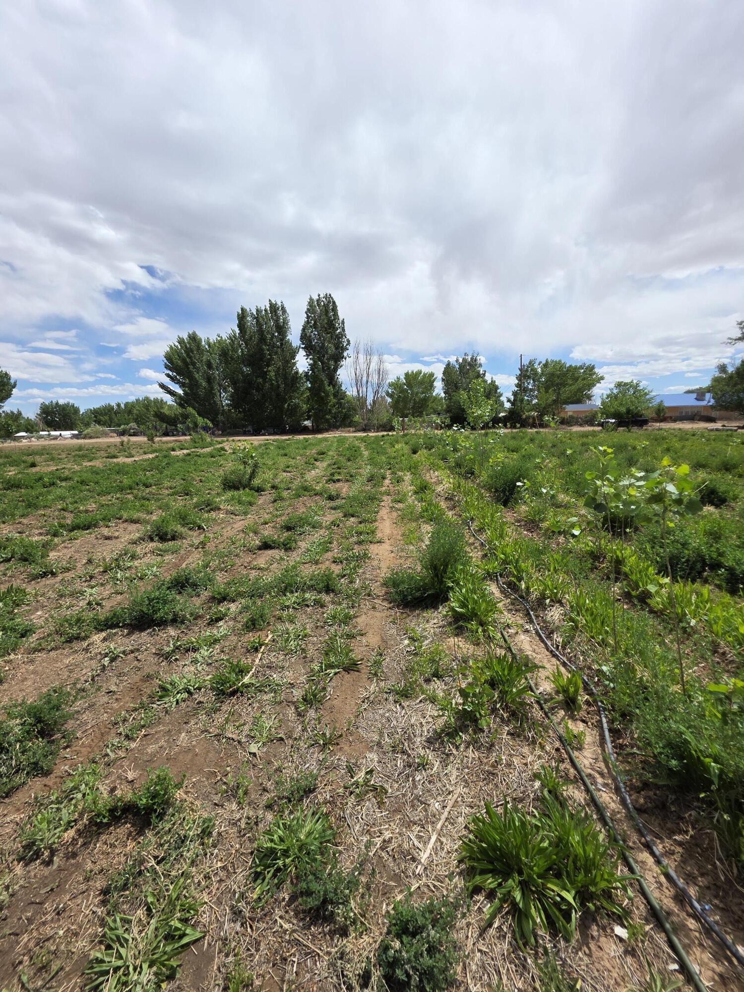 52 Ladera Road, Belen, New Mexico image 13