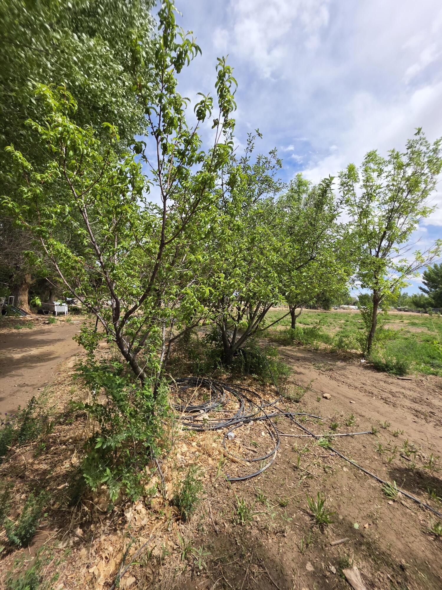 52 Ladera Road, Belen, New Mexico image 12