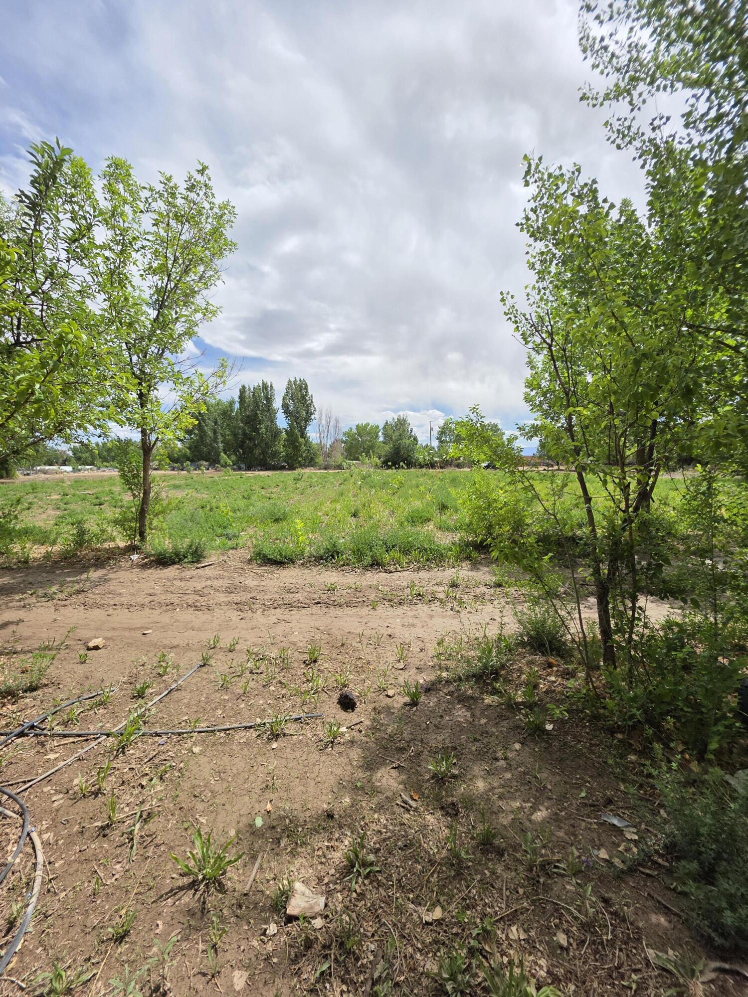 52 Ladera Road, Belen, New Mexico image 10