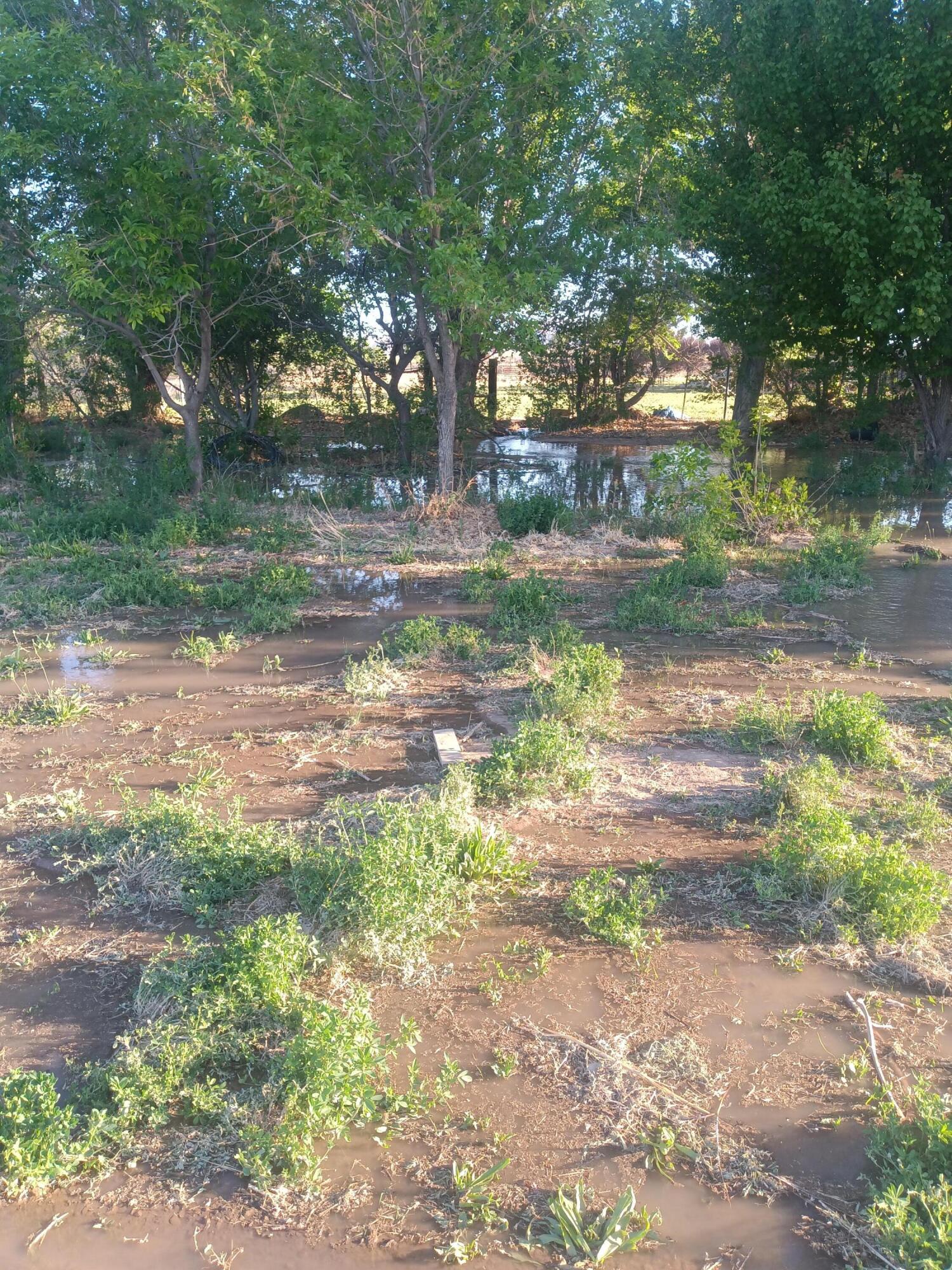 52 Ladera Road, Belen, New Mexico image 3