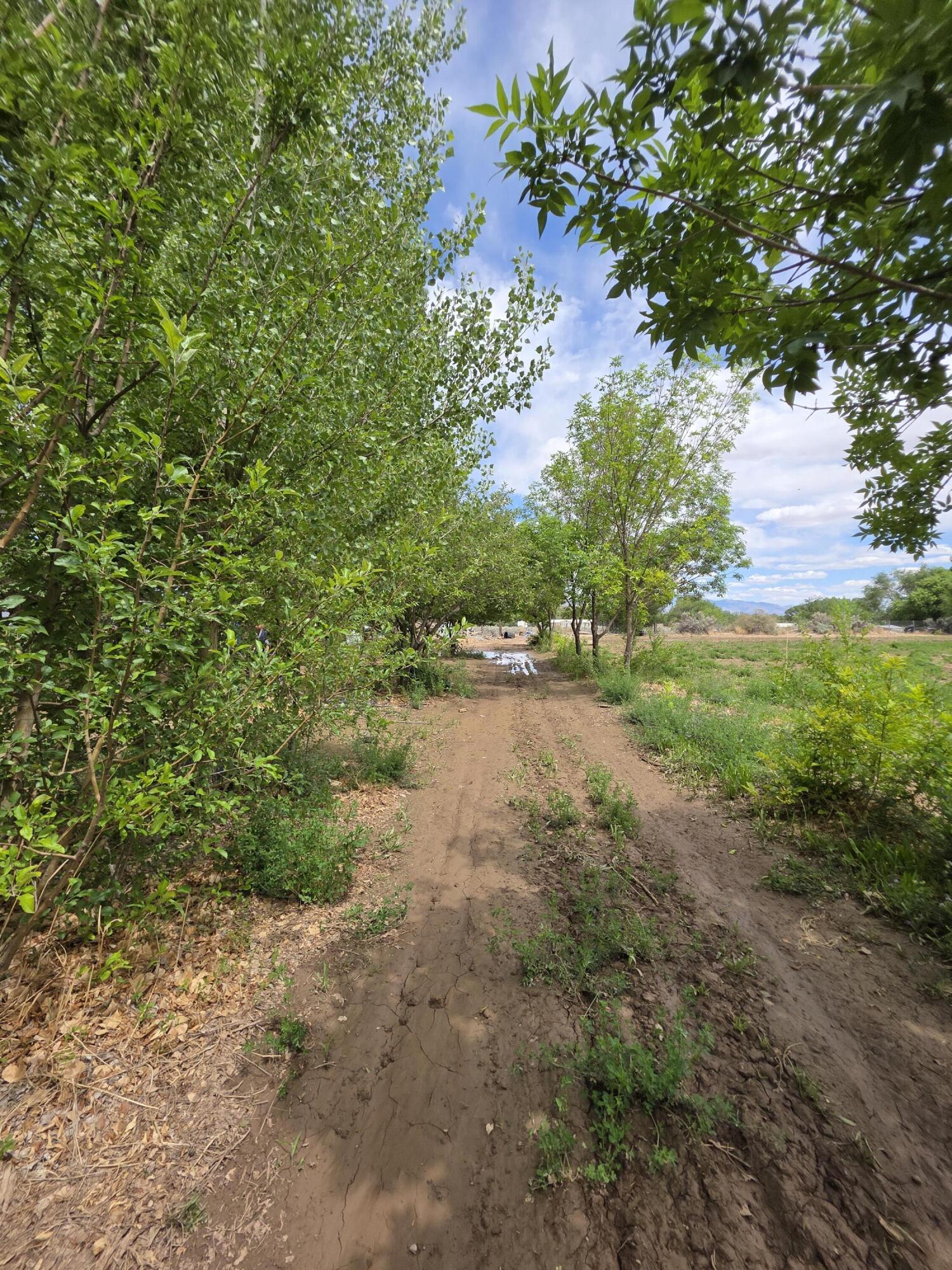 52 Ladera Road, Belen, New Mexico image 6
