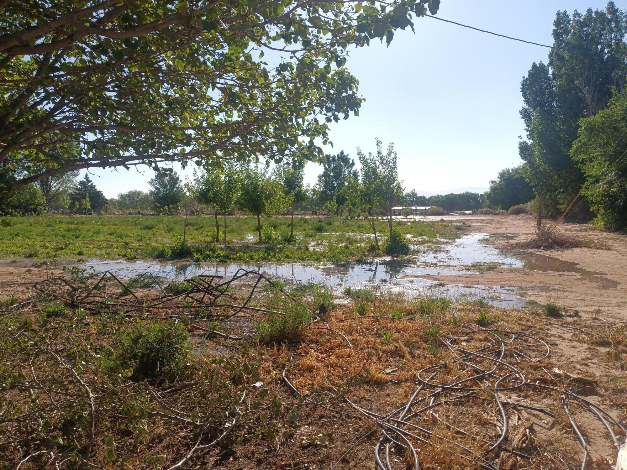52 Ladera Road, Belen, New Mexico image 1