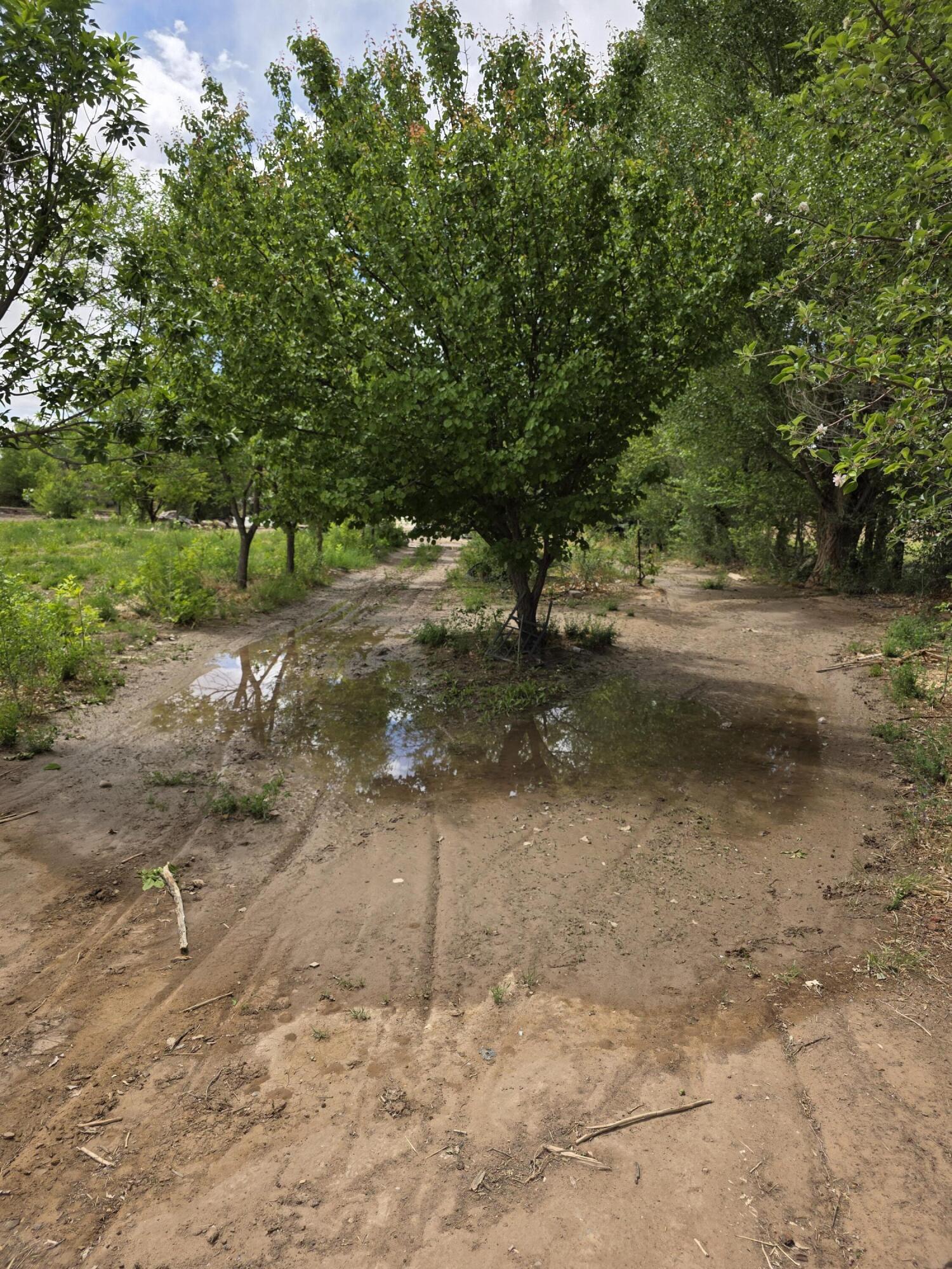 52 Ladera Road, Belen, New Mexico image 7