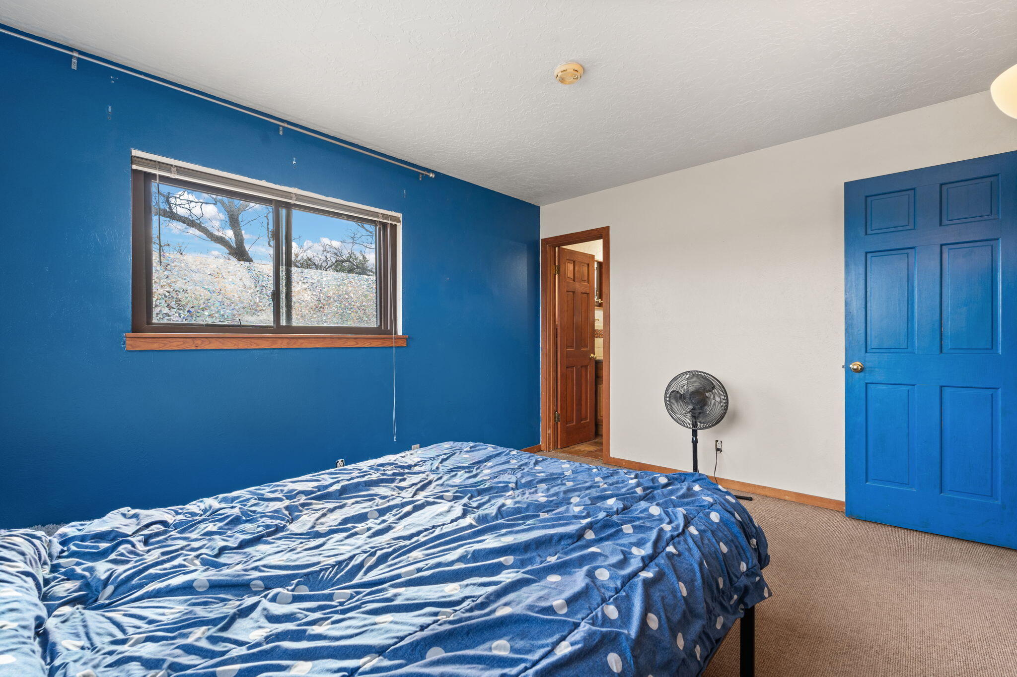 5804 Chaparral Circle, Albuquerque, New Mexico image 12