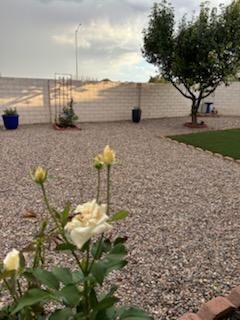 4952 Night Hawk Drive, Rio Rancho, New Mexico image 21