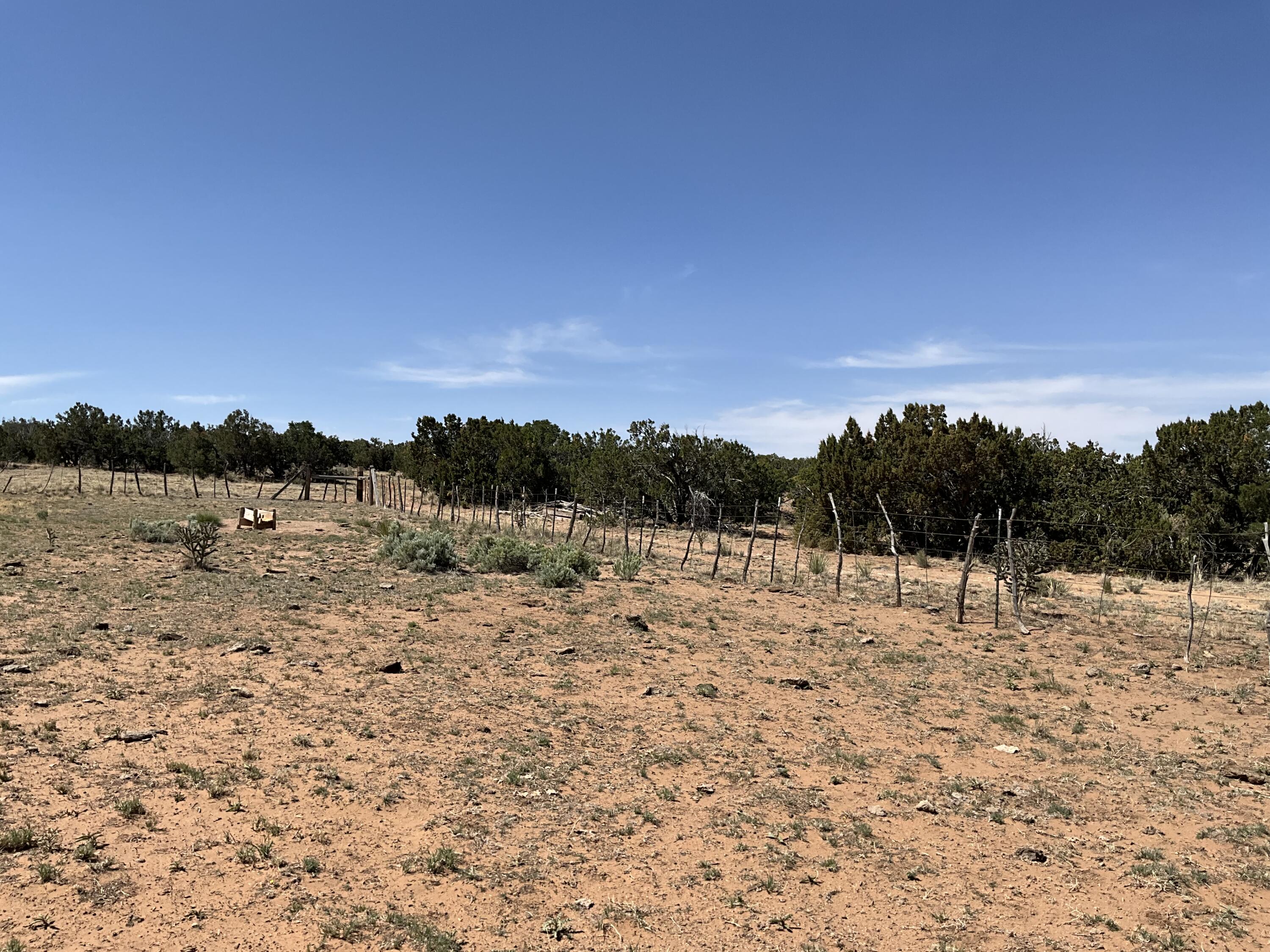 S: 10 T: 2n R: 6e N2ne4 (80ac, Mountainair, New Mexico image 16