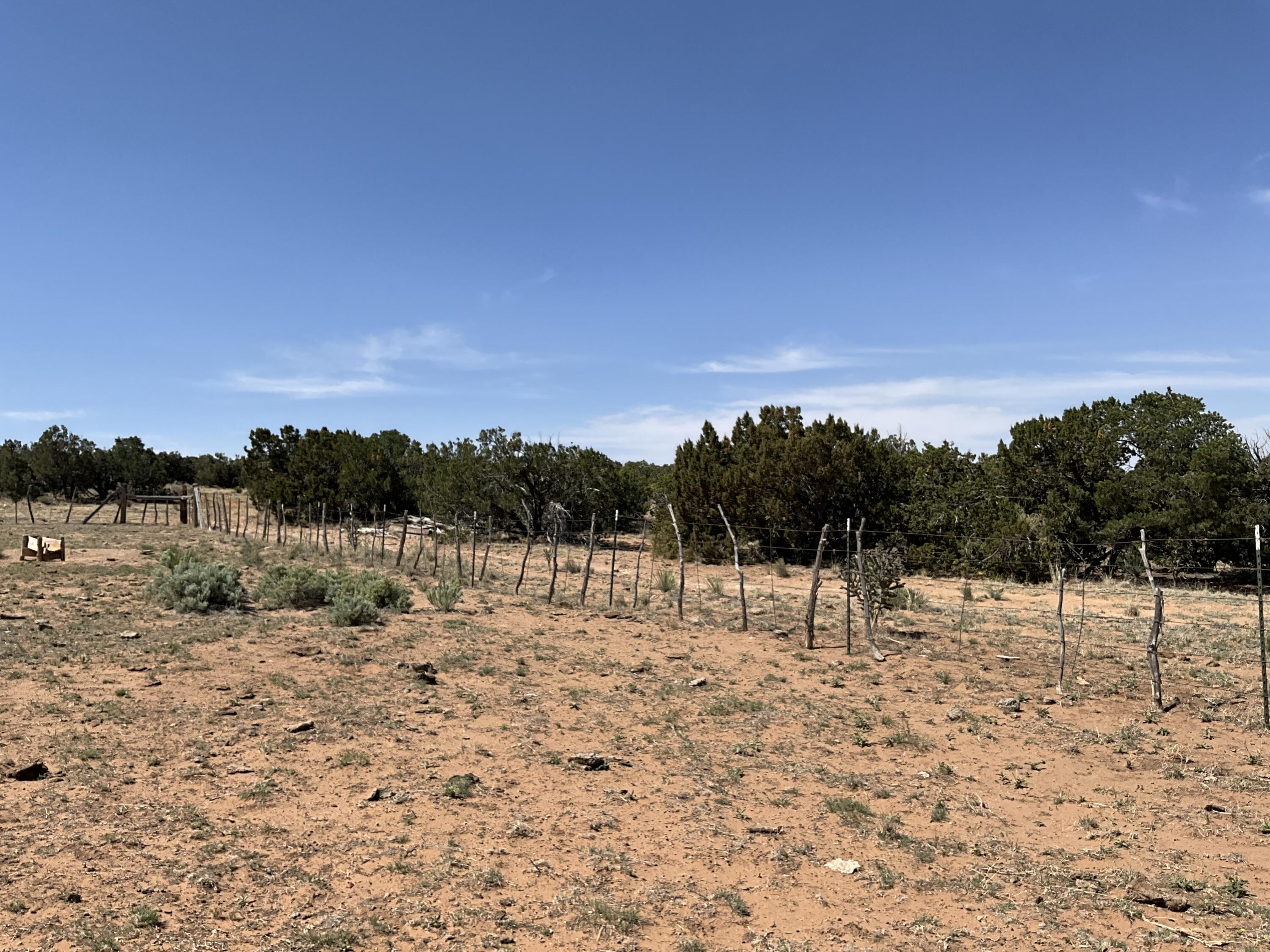 S: 10 T: 2n R: 6e N2ne4 (80ac, Mountainair, New Mexico image 14