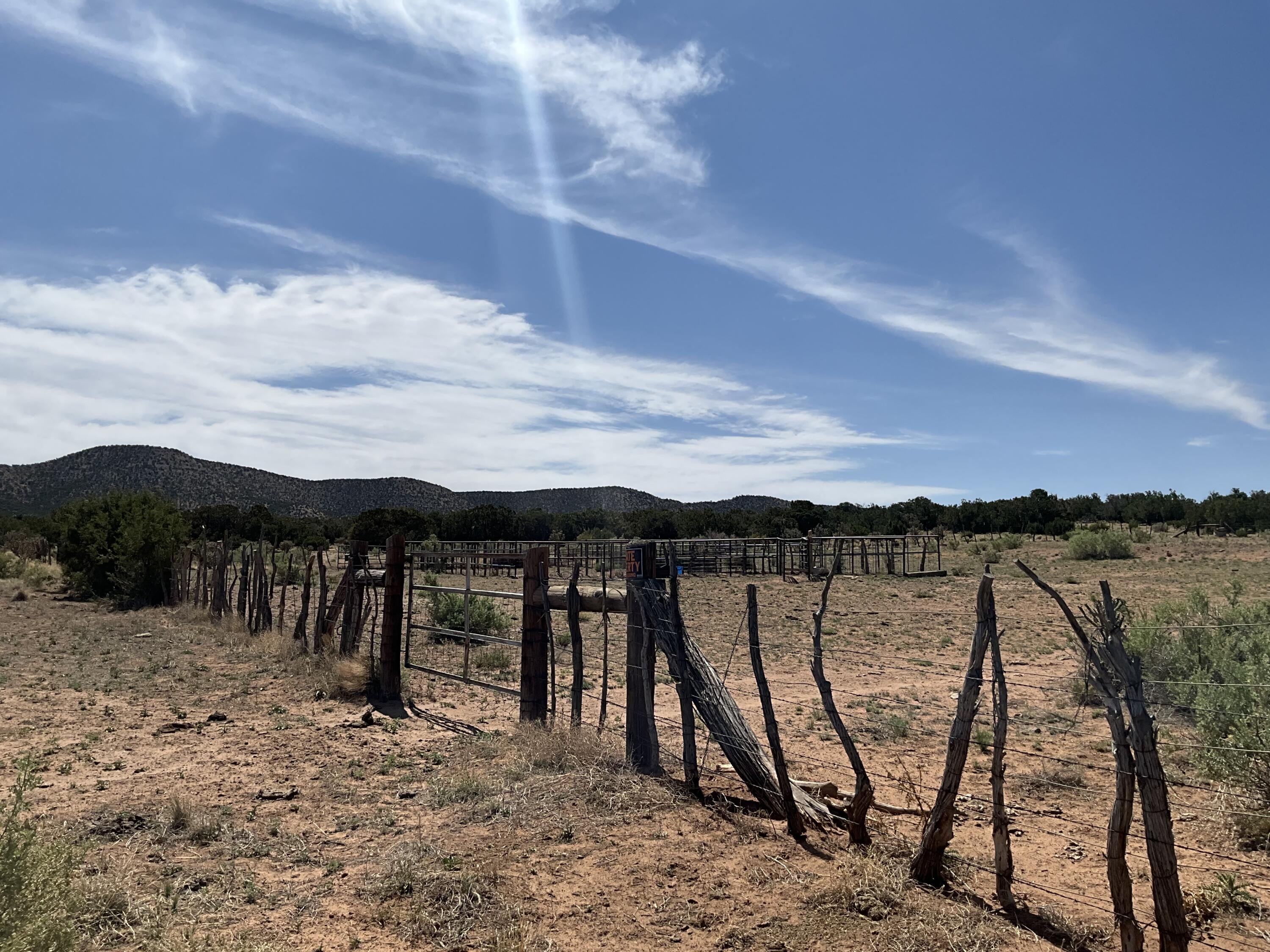 S: 10 T: 2n R: 6e N2ne4 (80ac, Mountainair, New Mexico image 21