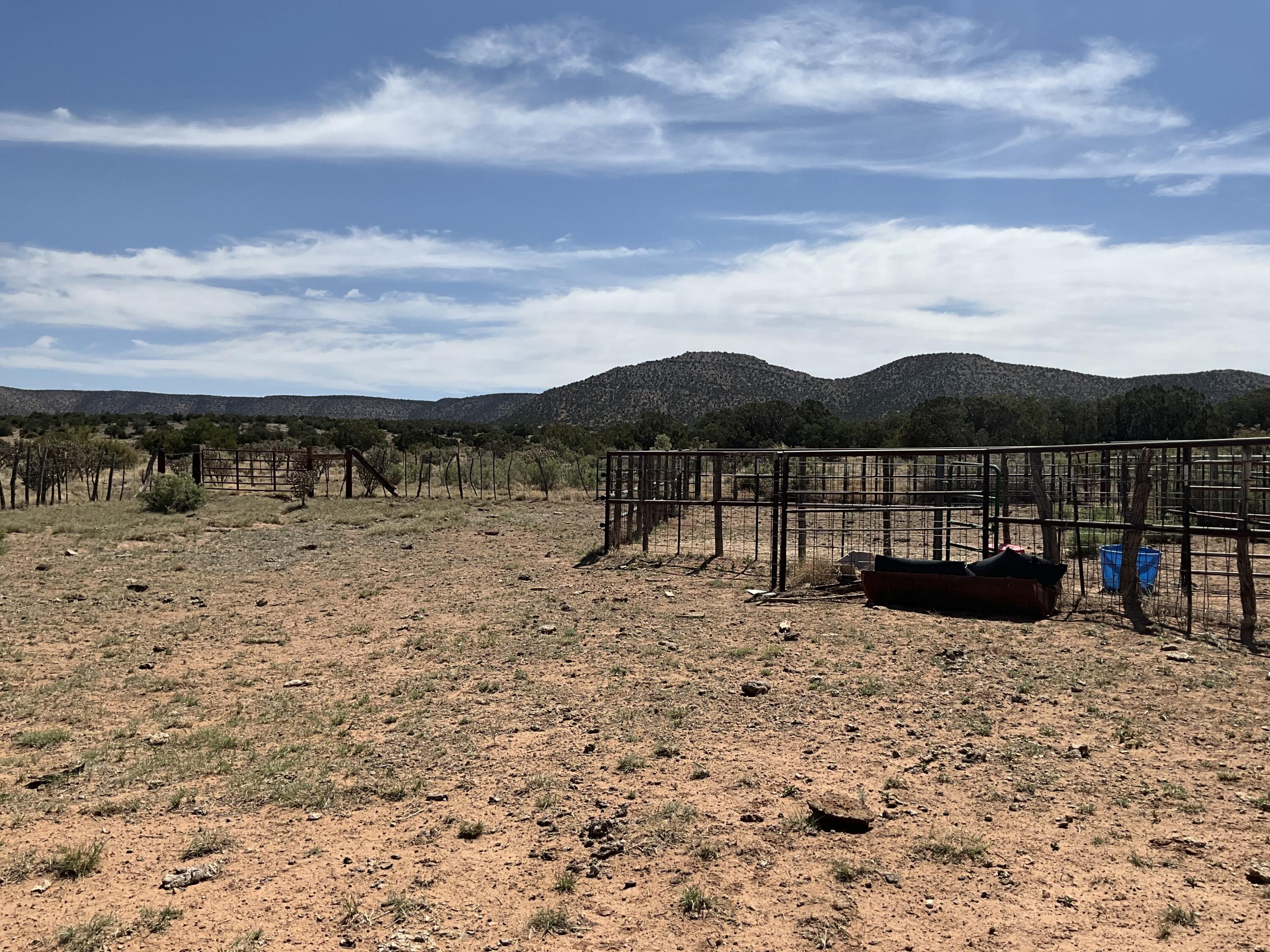 S: 10 T: 2n R: 6e N2ne4 (80ac, Mountainair, New Mexico image 4