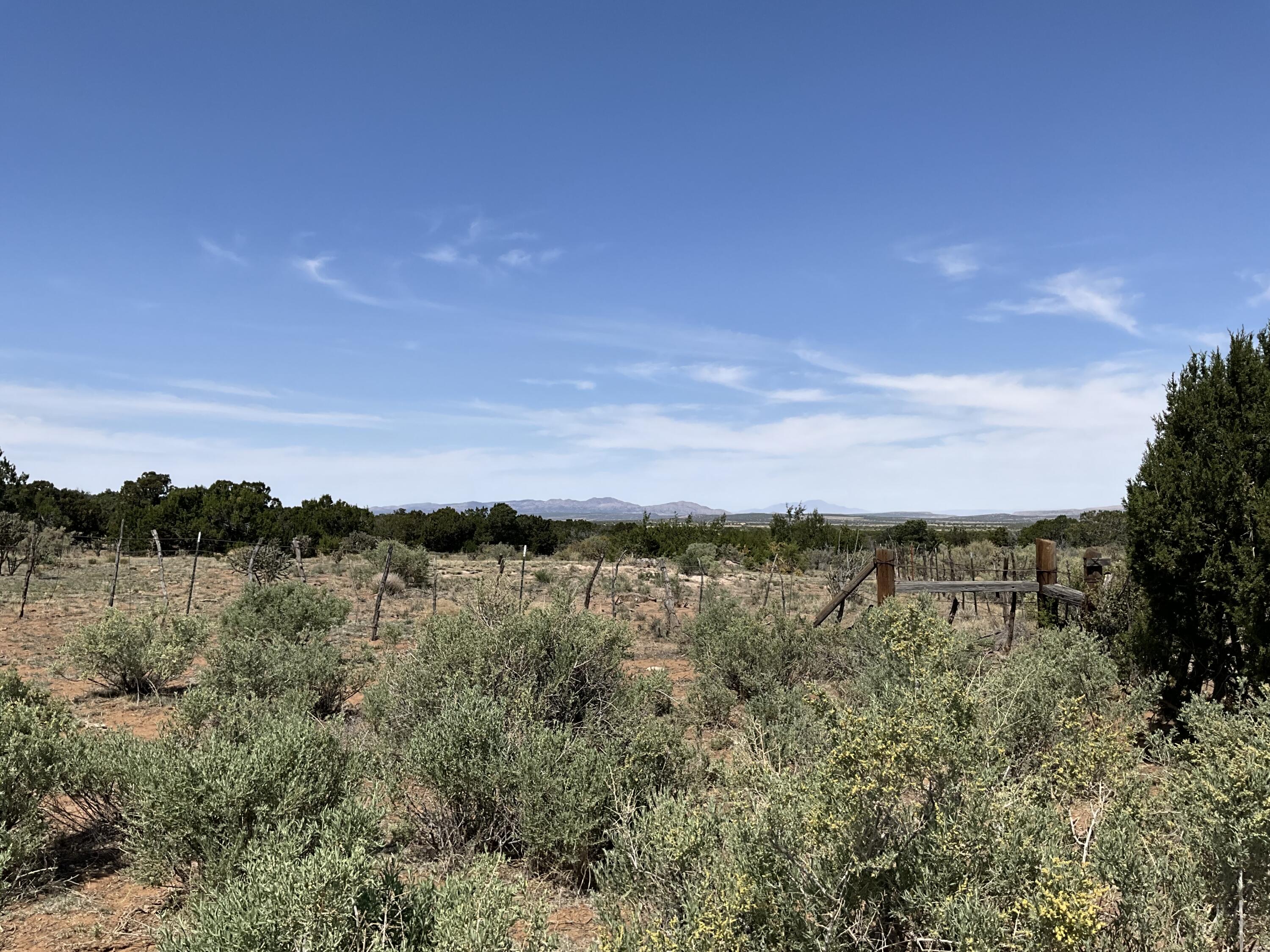 S: 10 T: 2n R: 6e N2ne4 (80ac, Mountainair, New Mexico image 13