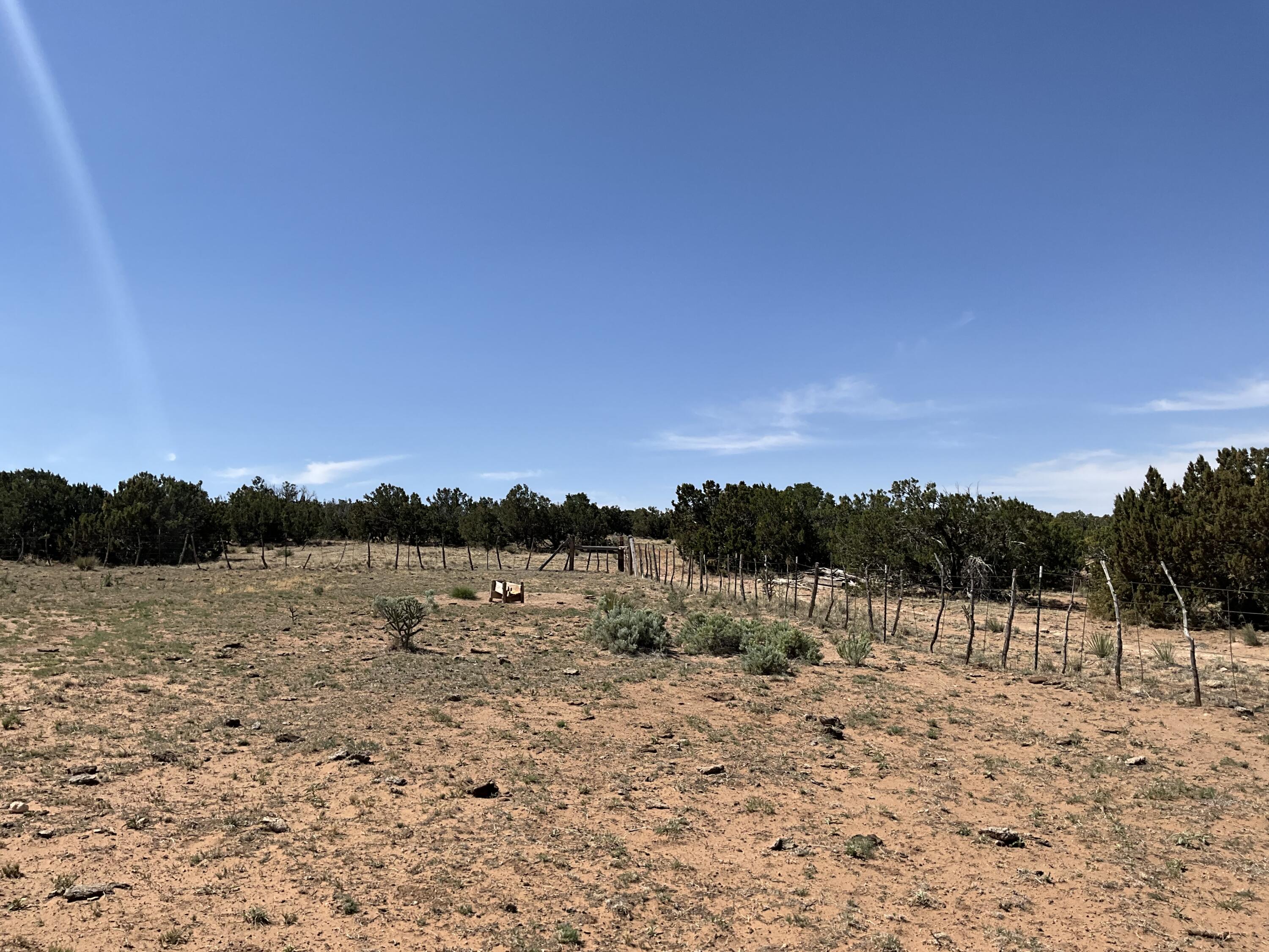 S: 10 T: 2n R: 6e N2ne4 (80ac, Mountainair, New Mexico image 15