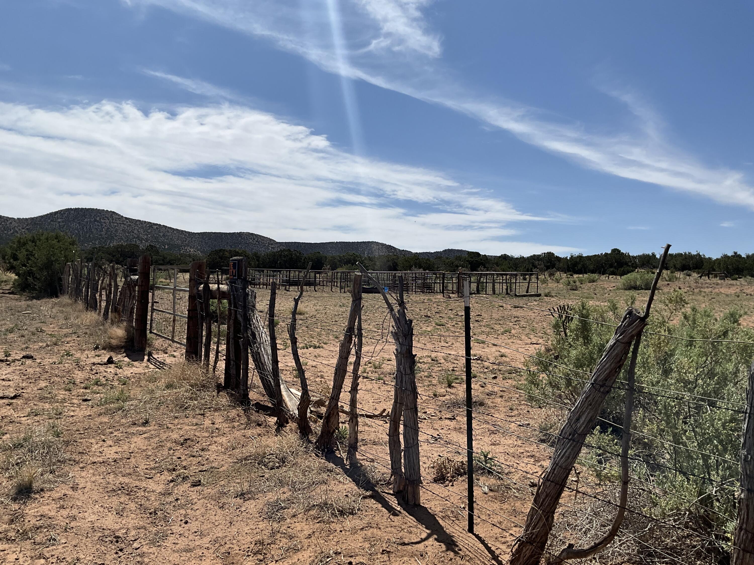 S: 10 T: 2n R: 6e N2ne4 (80ac, Mountainair, New Mexico image 22
