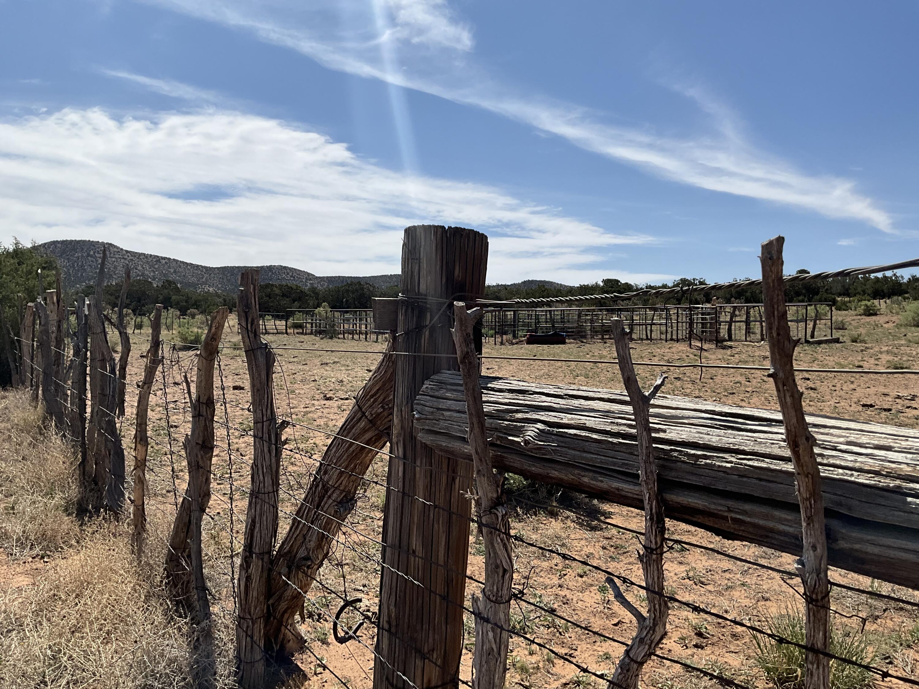 S: 10 T: 2n R: 6e N2ne4 (80ac, Mountainair, New Mexico image 19