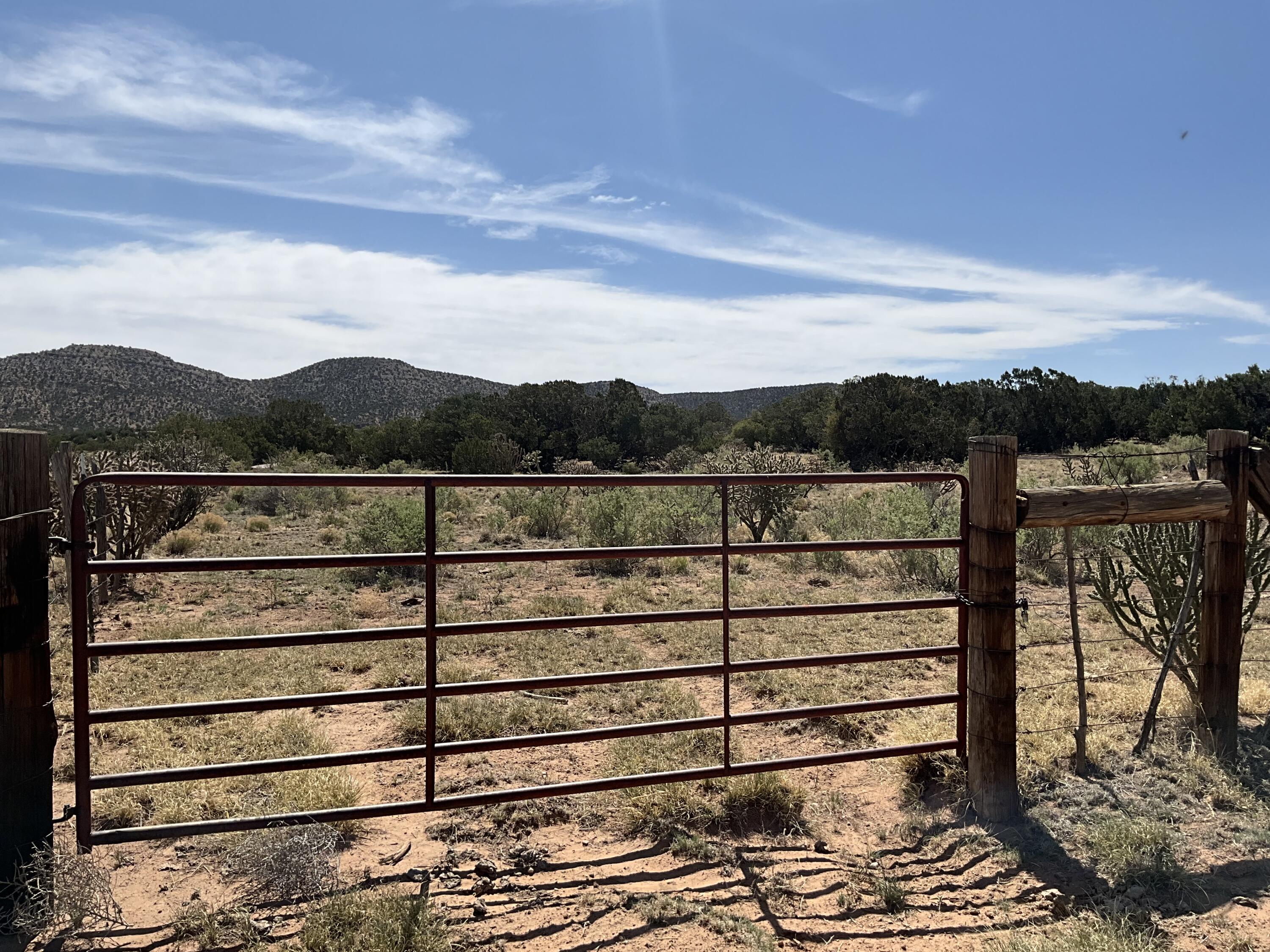 S: 10 T: 2n R: 6e N2ne4 (80ac, Mountainair, New Mexico image 6