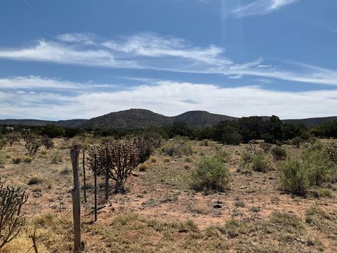 Vacant Land For Sale - S: 10 T: 2n R: 6e N2ne4 (80ac<br/> Mountainair, NM 87036