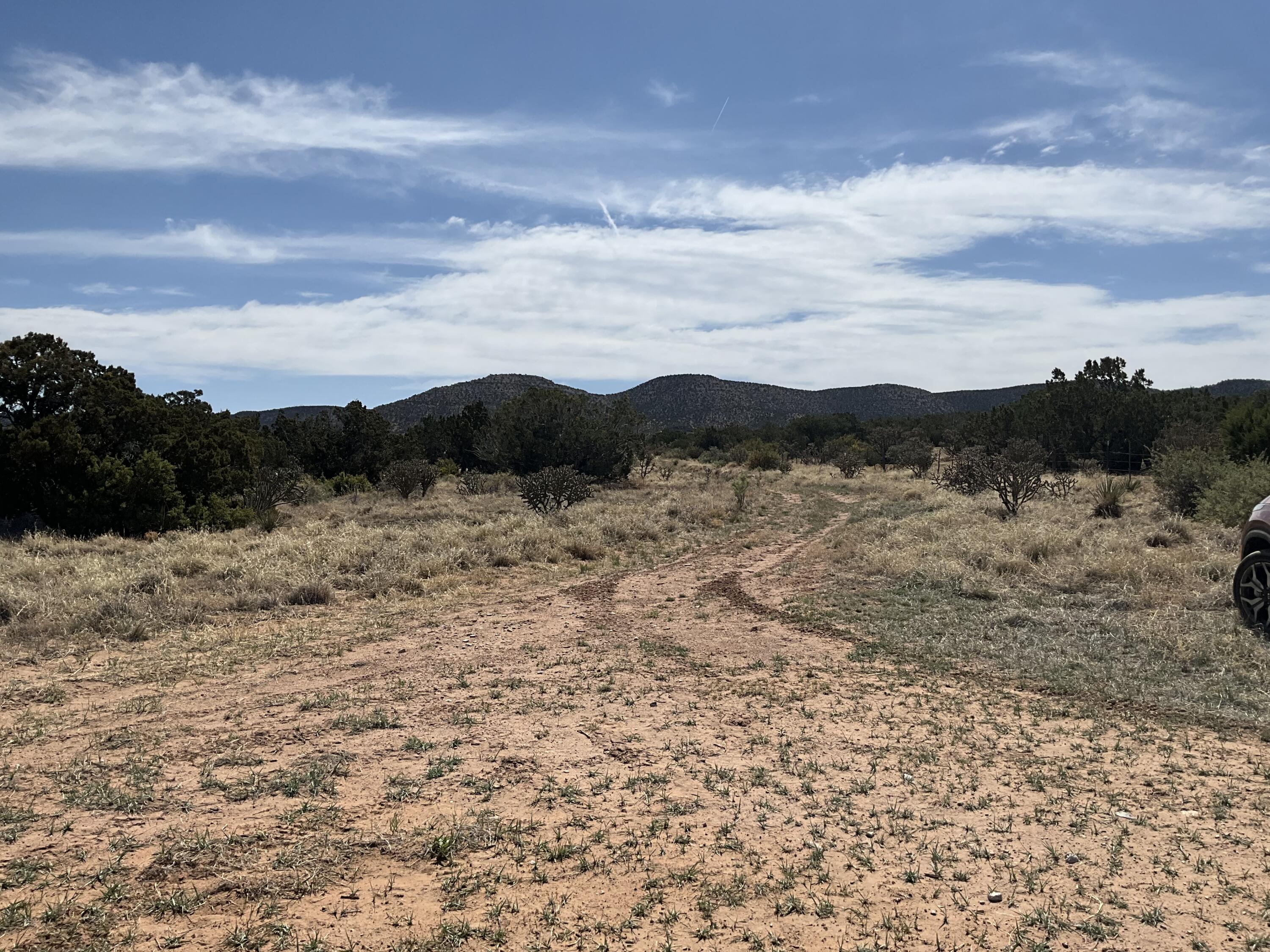 S: 10 T: 2n R: 6e N2ne4 (80ac, Mountainair, New Mexico image 24