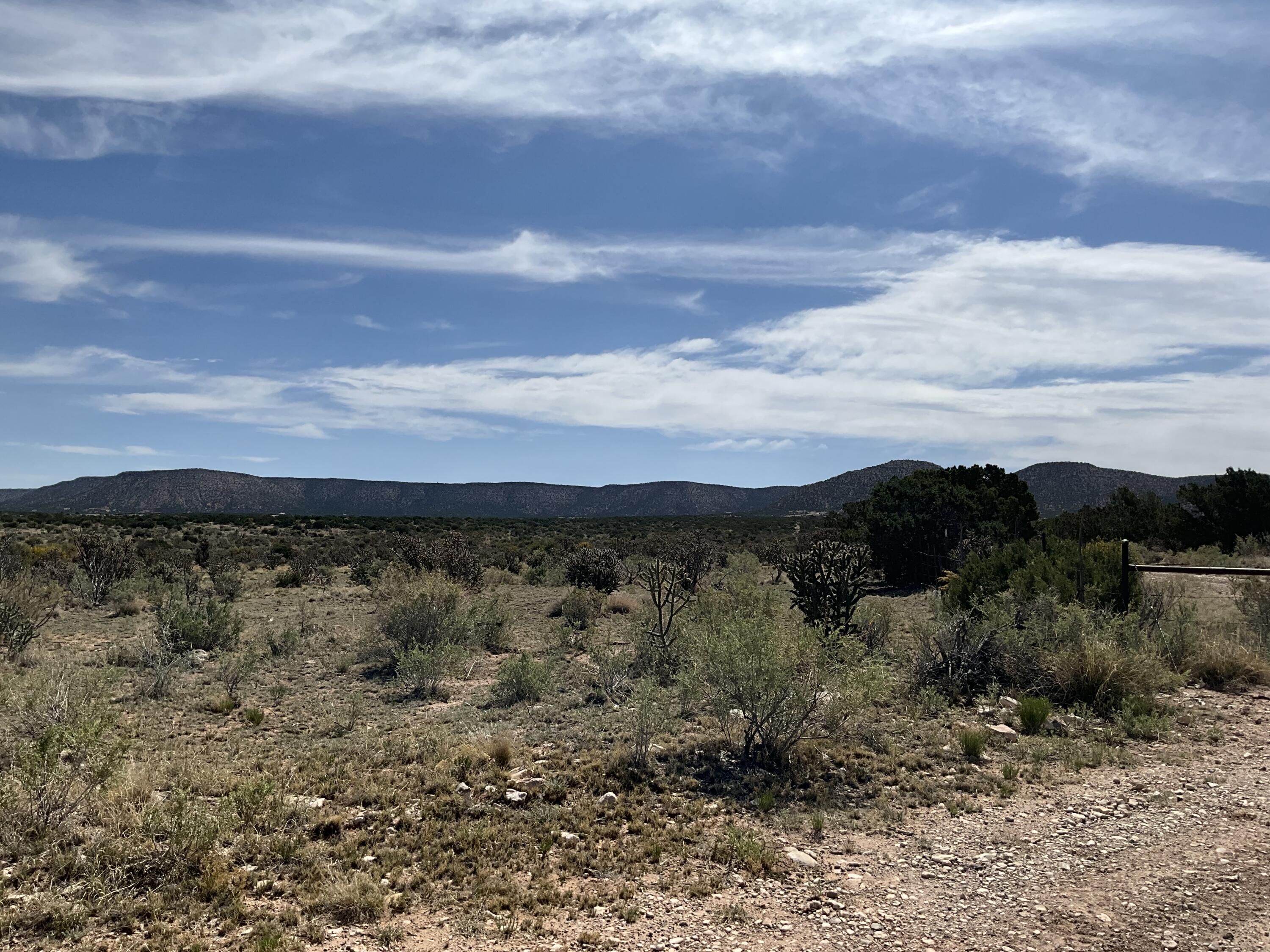 S: 10 T: 2n R: 6e N2ne4 (80ac, Mountainair, New Mexico image 26