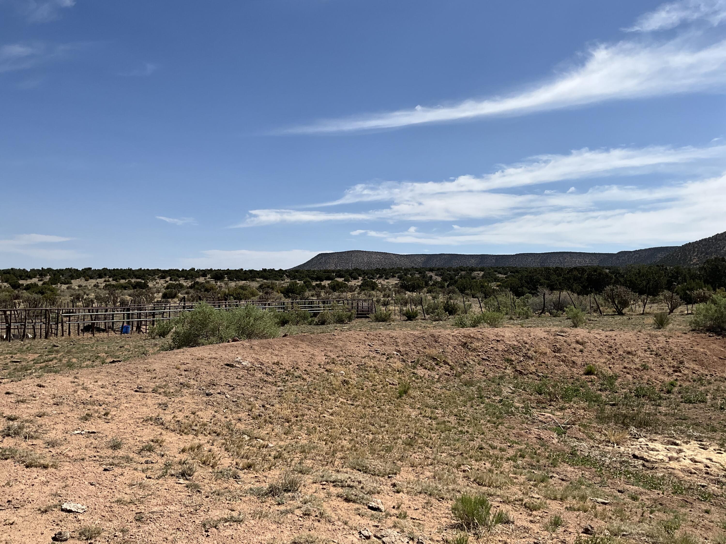 S: 10 T: 2n R: 6e N2ne4 (80ac, Mountainair, New Mexico image 5