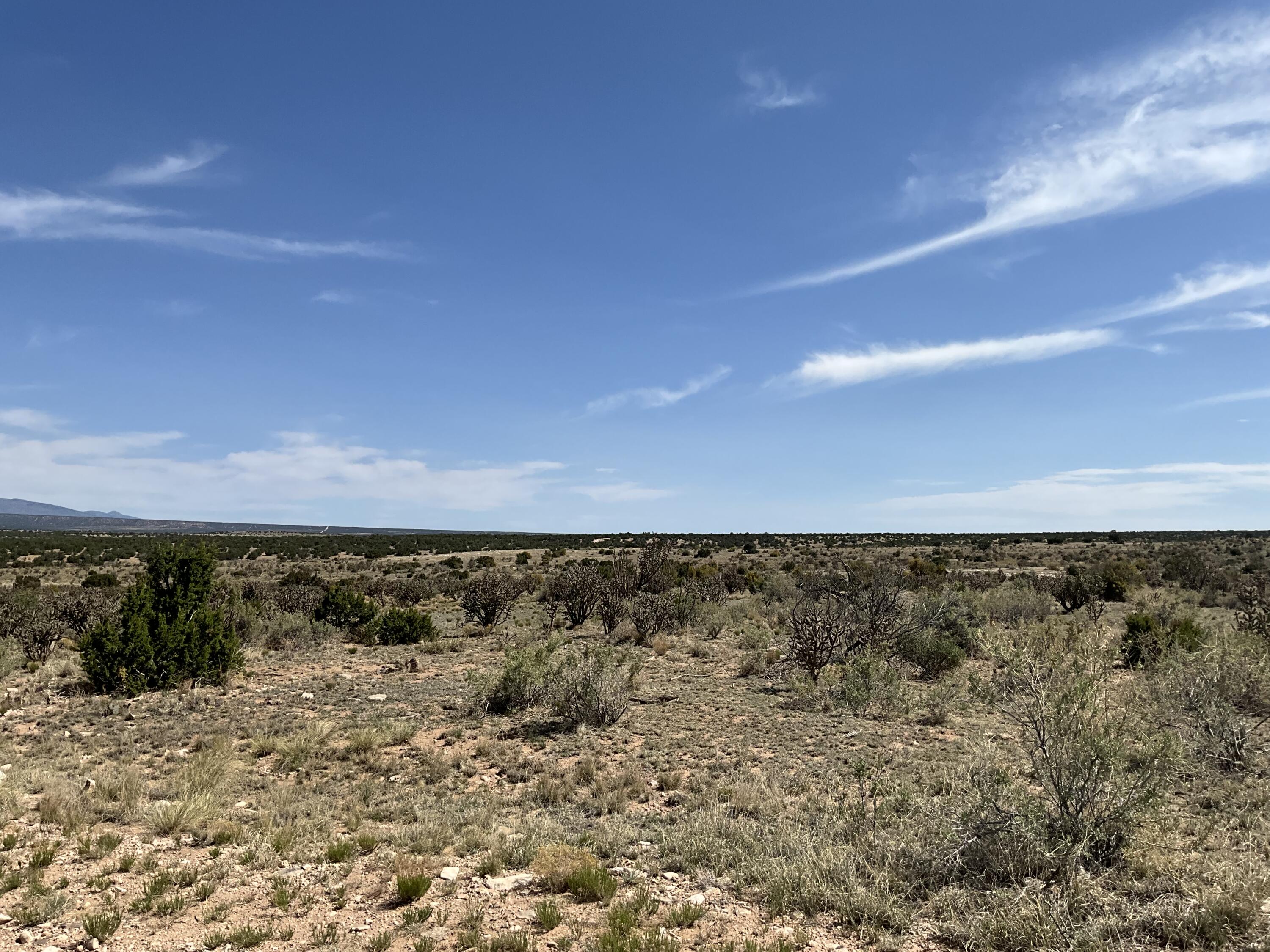 S: 10 T: 2n R: 6e N2ne4 (80ac, Mountainair, New Mexico image 27