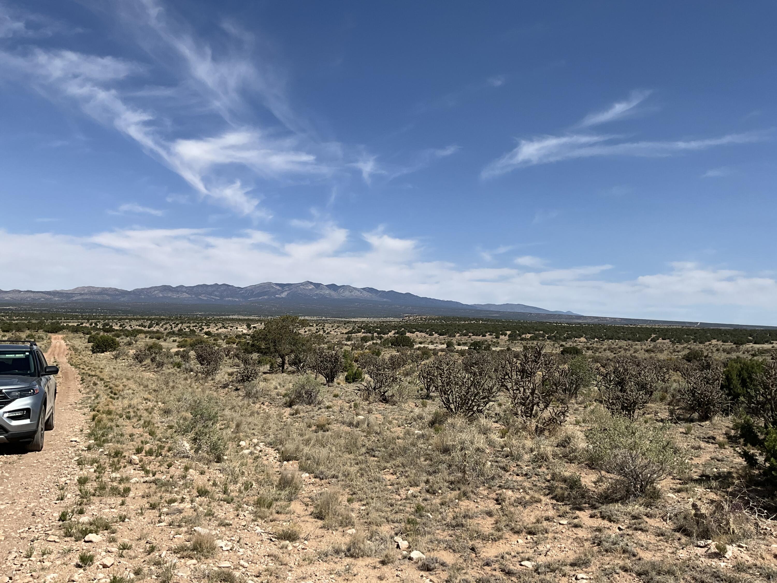 S: 10 T: 2n R: 6e N2ne4 (80ac, Mountainair, New Mexico image 28
