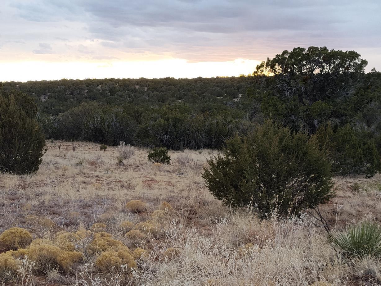 268 Old Abo Trail, Mountainair, New Mexico image 30