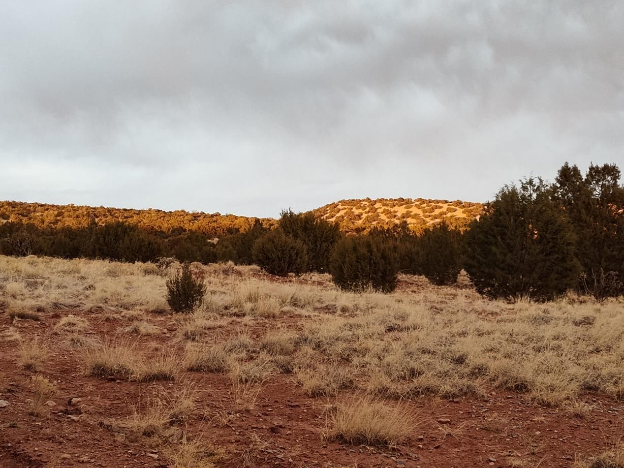 268 Old Abo Trail, Mountainair, New Mexico image 3