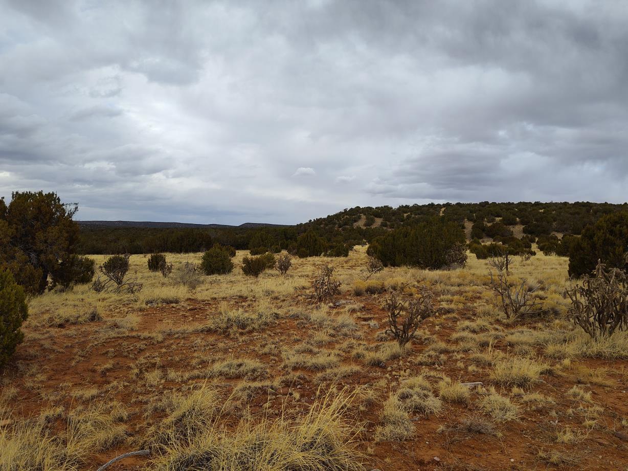 268 Old Abo Trail, Mountainair, New Mexico image 16