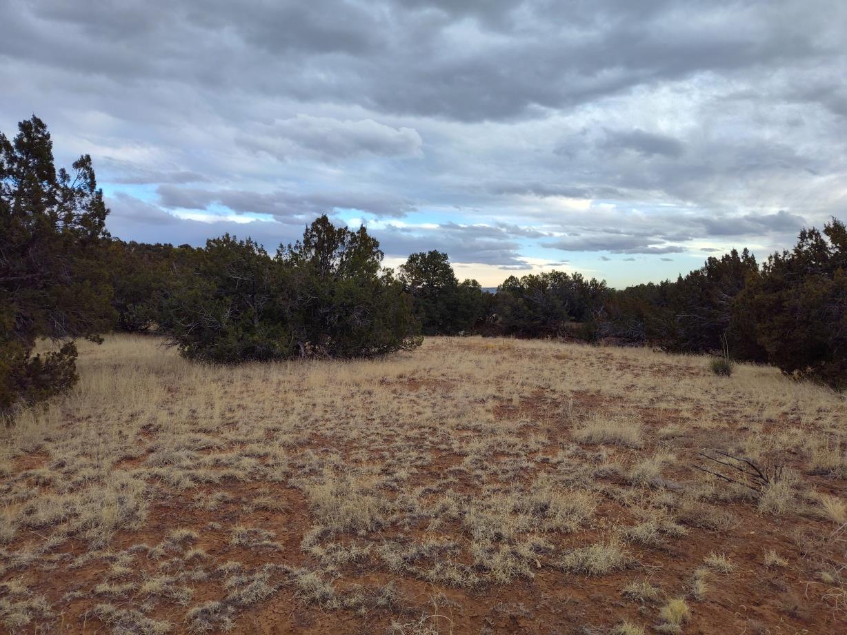 268 Old Abo Trail, Mountainair, New Mexico image 27