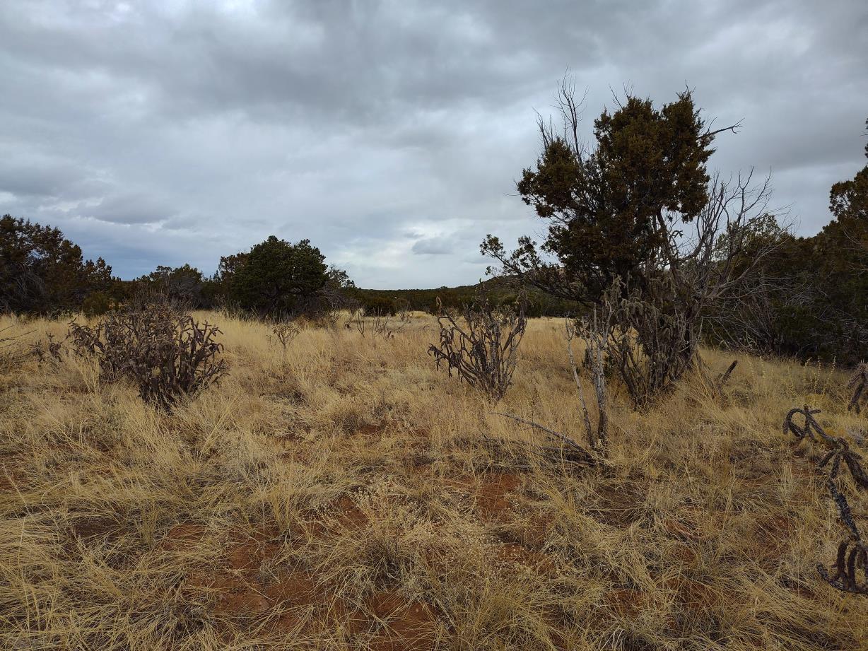268 Old Abo Trail, Mountainair, New Mexico image 21