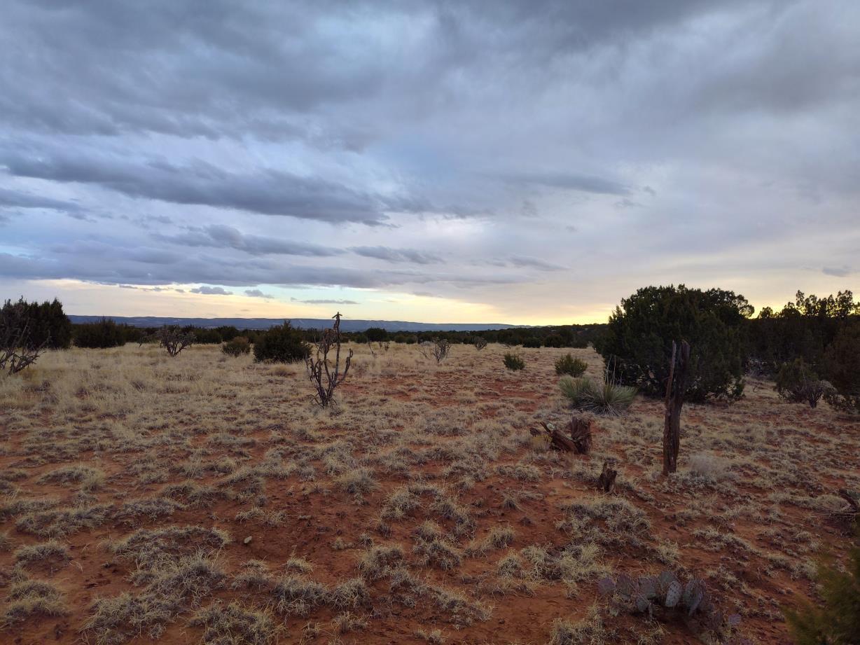 268 Old Abo Trail, Mountainair, New Mexico image 32
