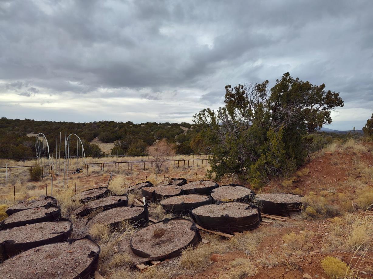 268 Old Abo Trail, Mountainair, New Mexico image 9