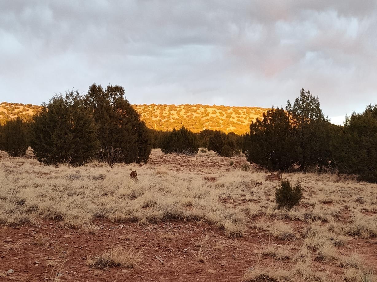 268 Old Abo Trail, Mountainair, New Mexico image 2